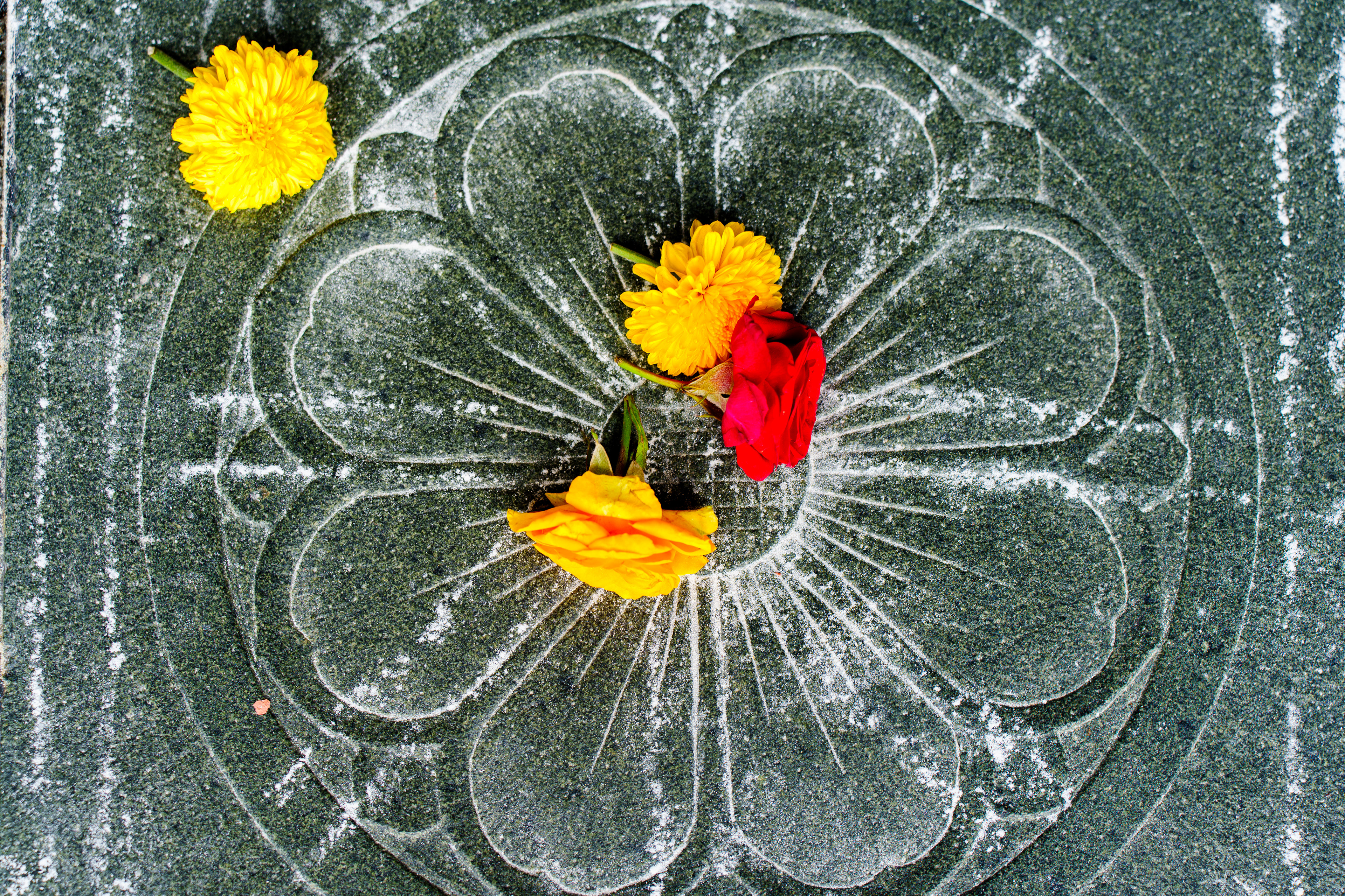 Sri Srinivasa Perumal
