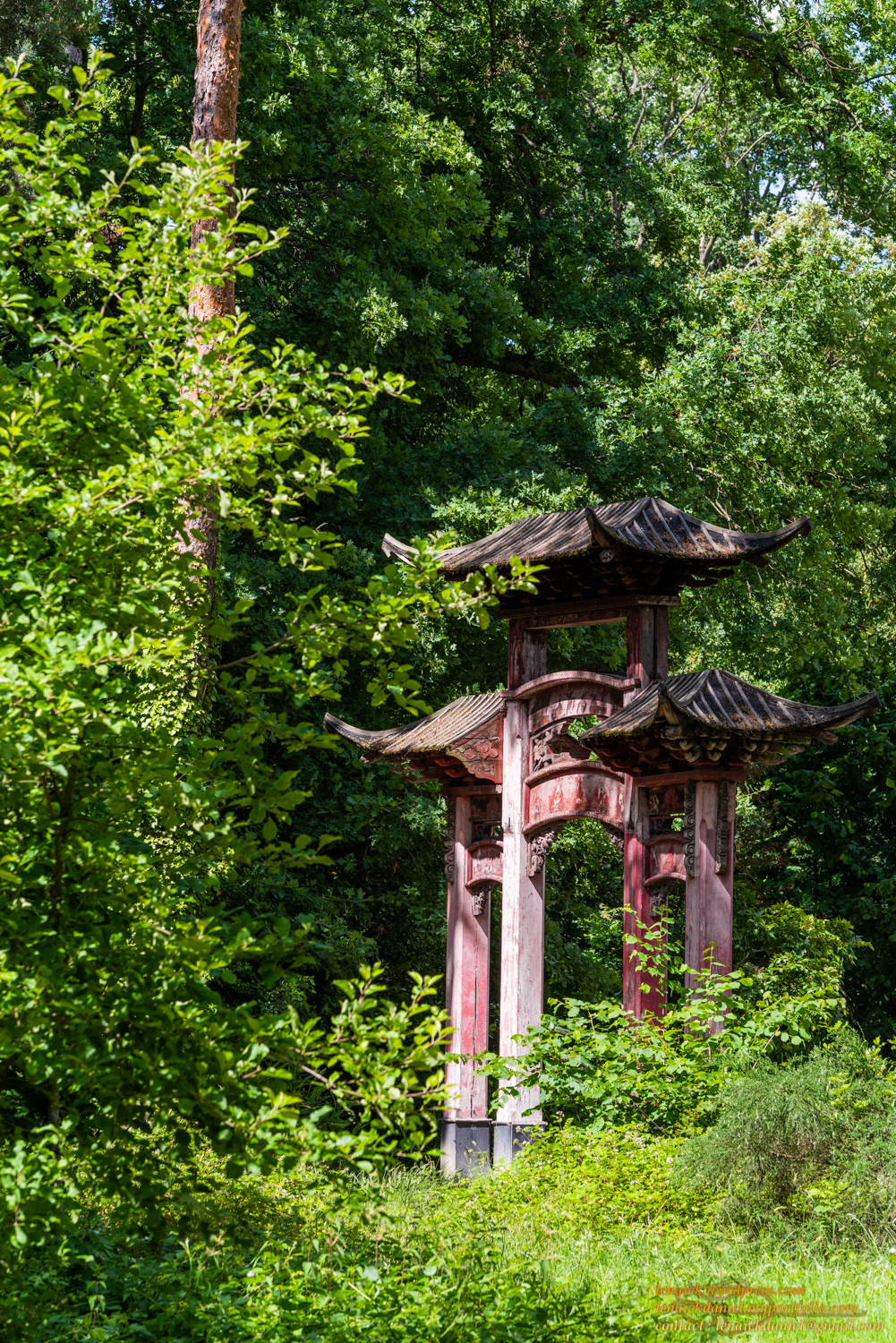 Entrée chinoise