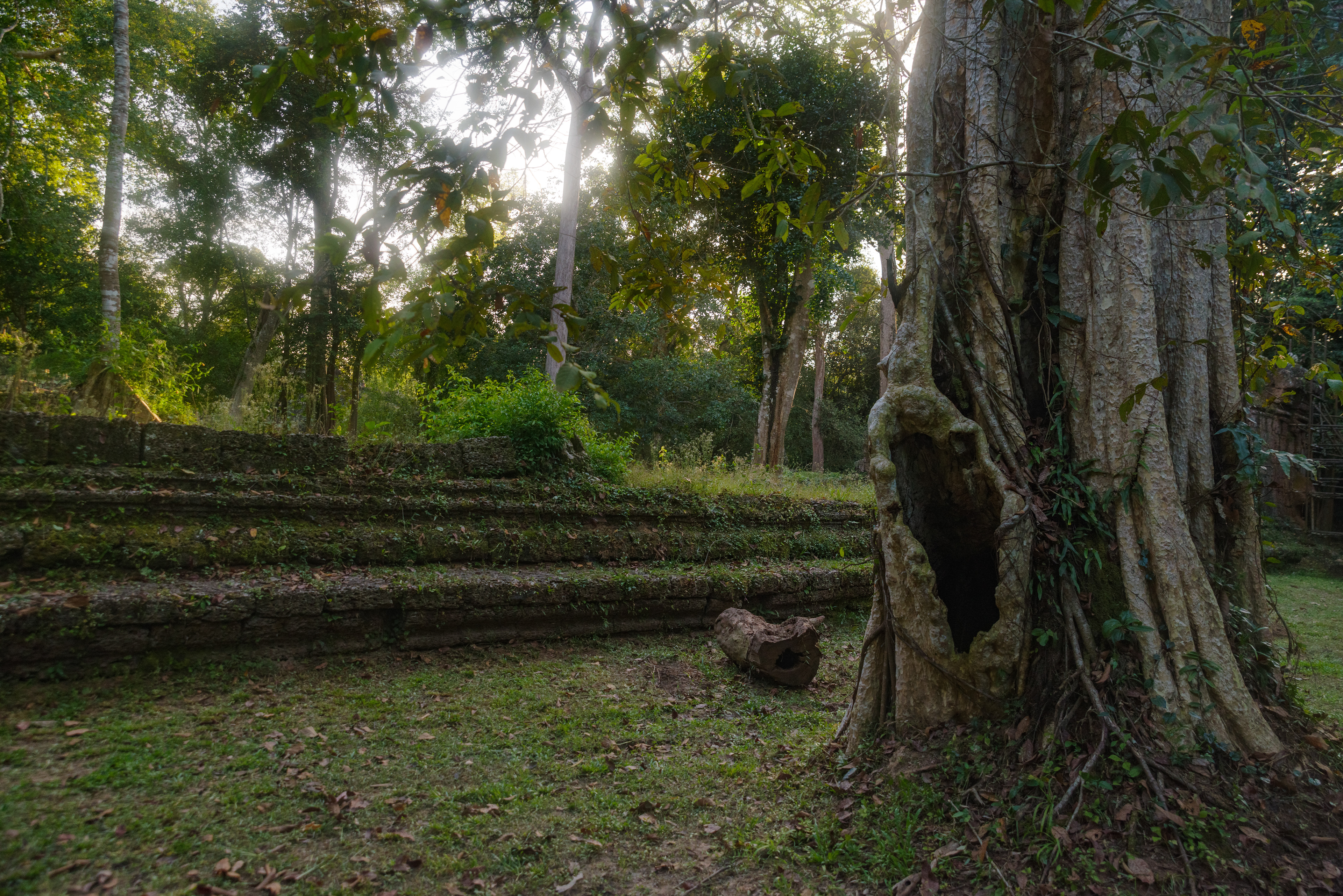Preah Khan