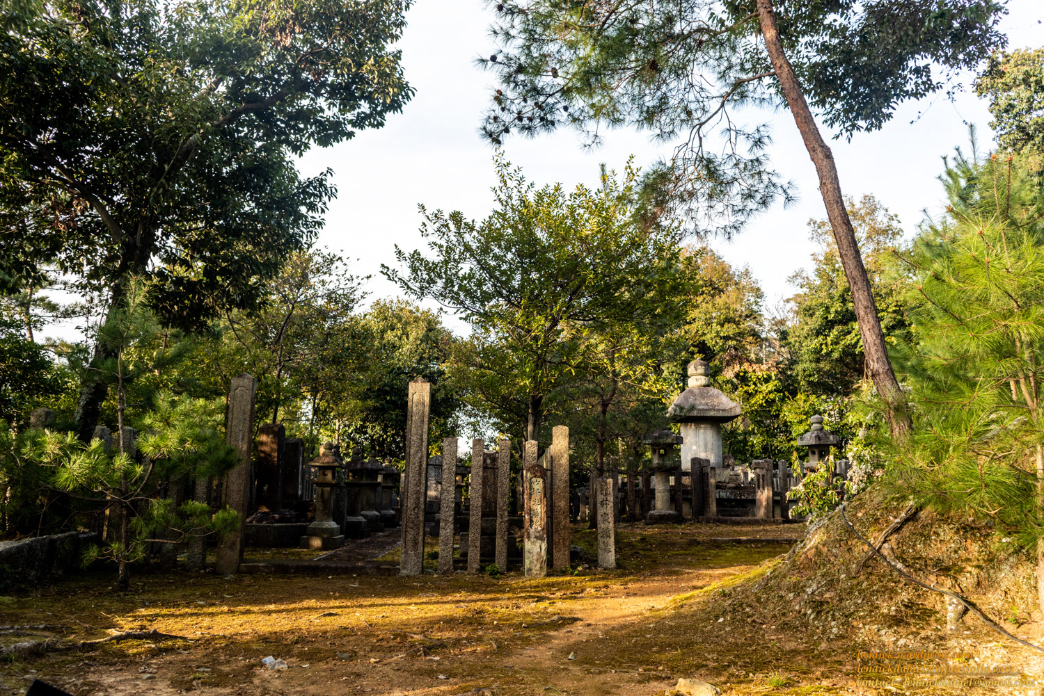Temple Kodaiji