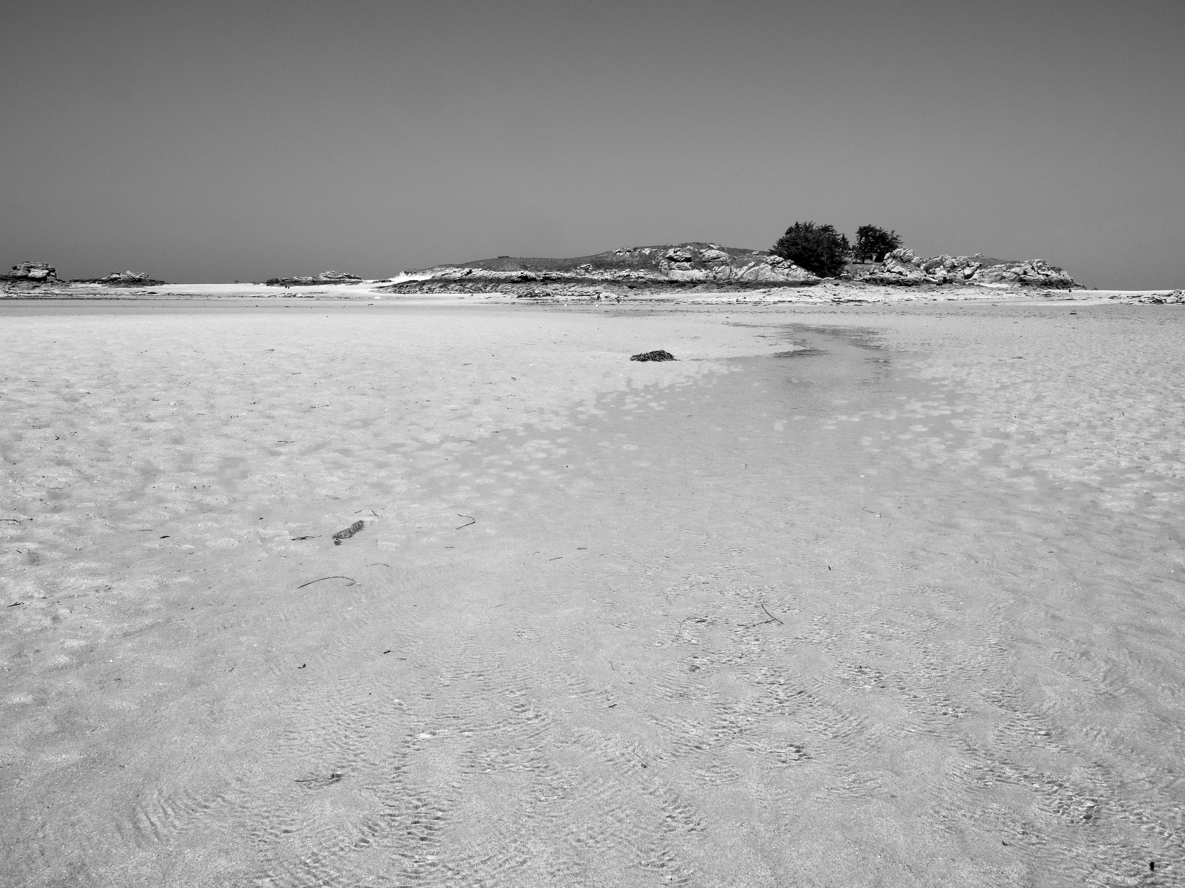 marée basse