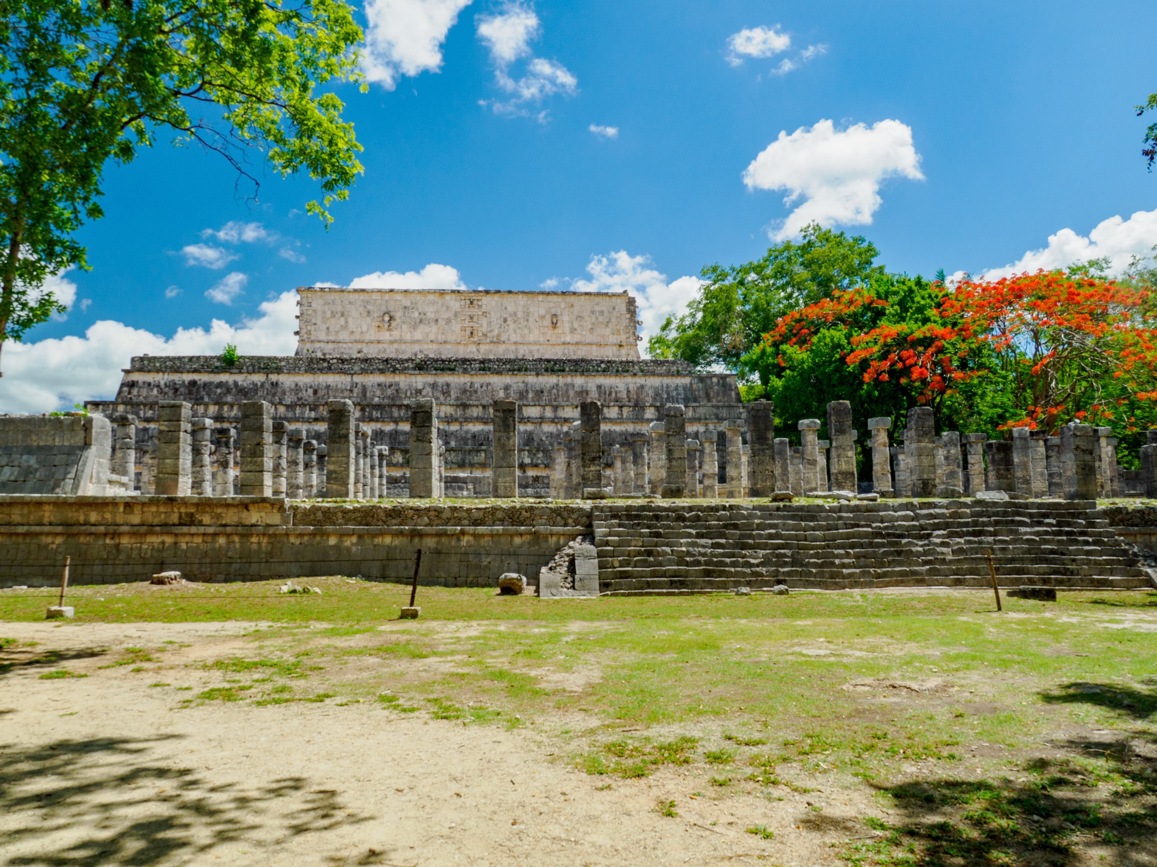 retour au groupe des 1000 colonnes