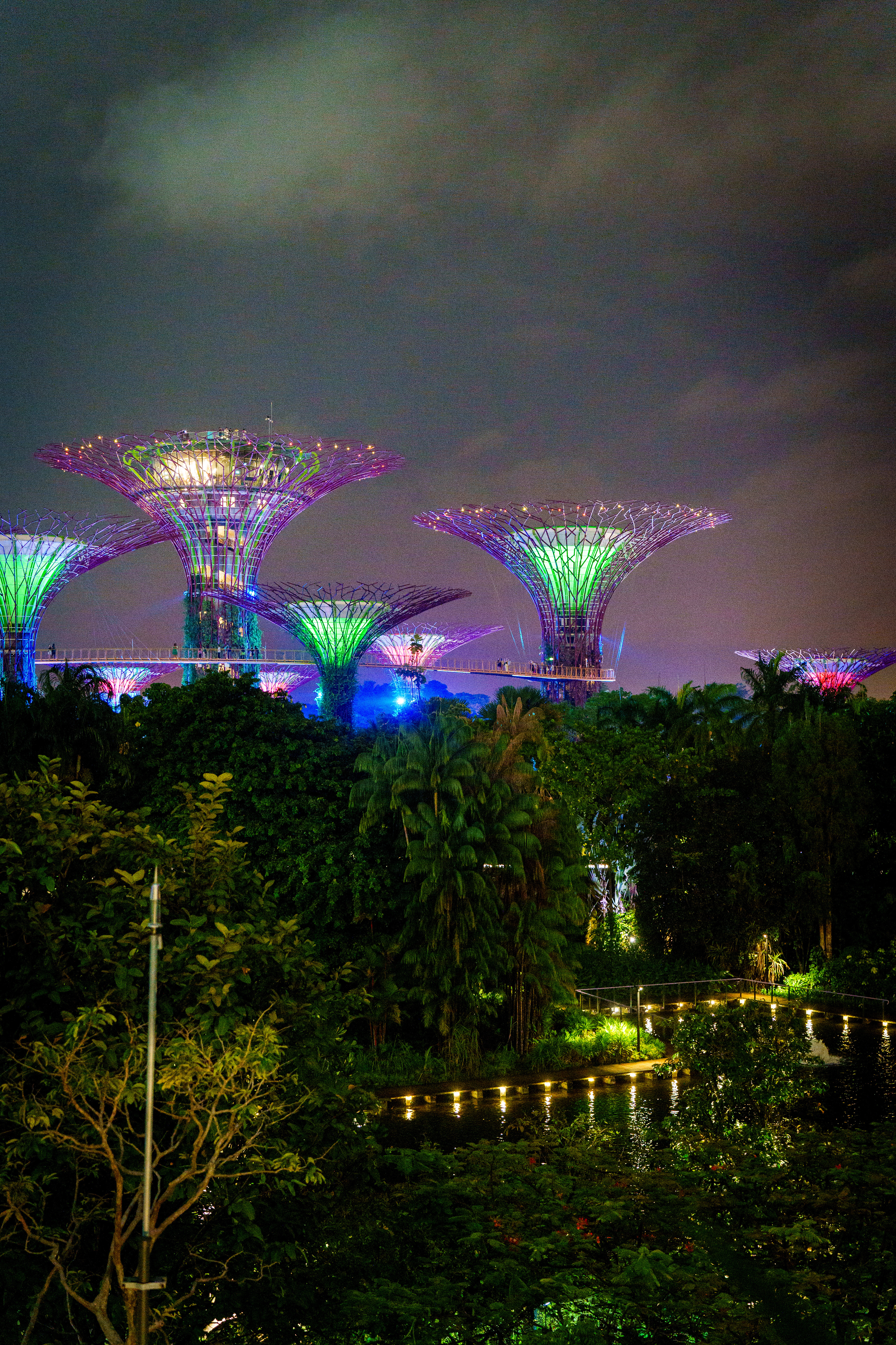 Show nocturne , point de vue gratuit