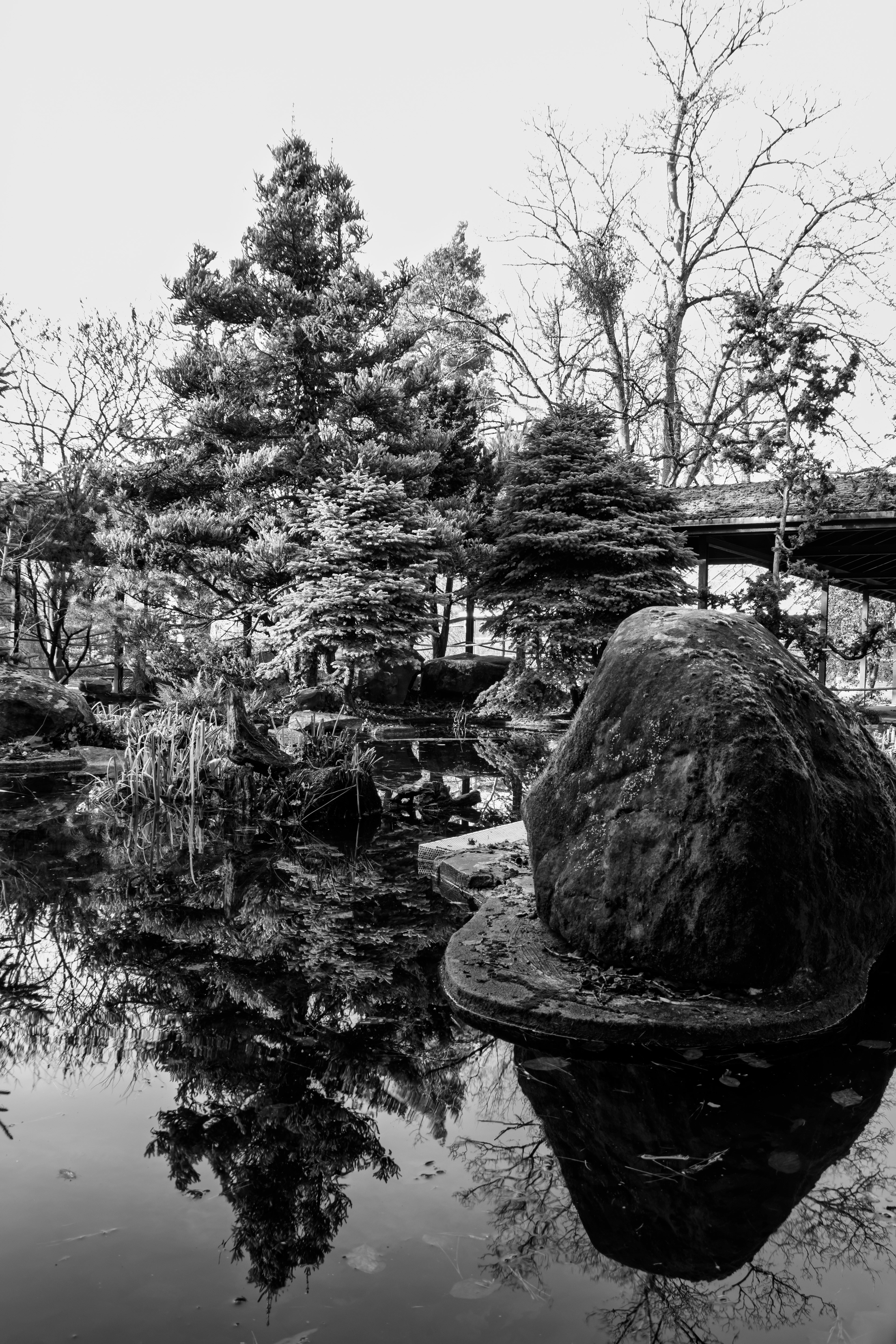 jardin japonais