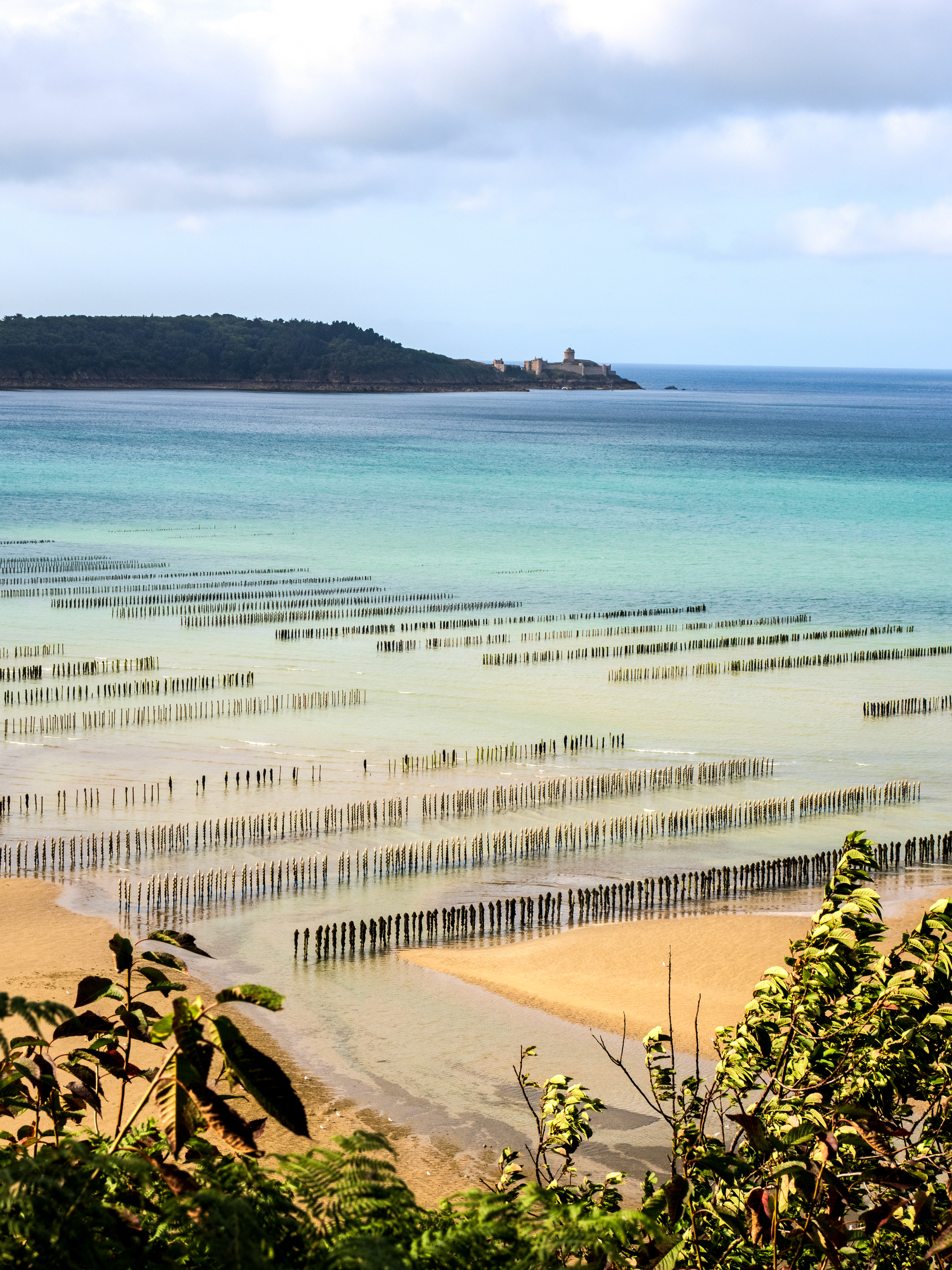Baie de la Fresnaye