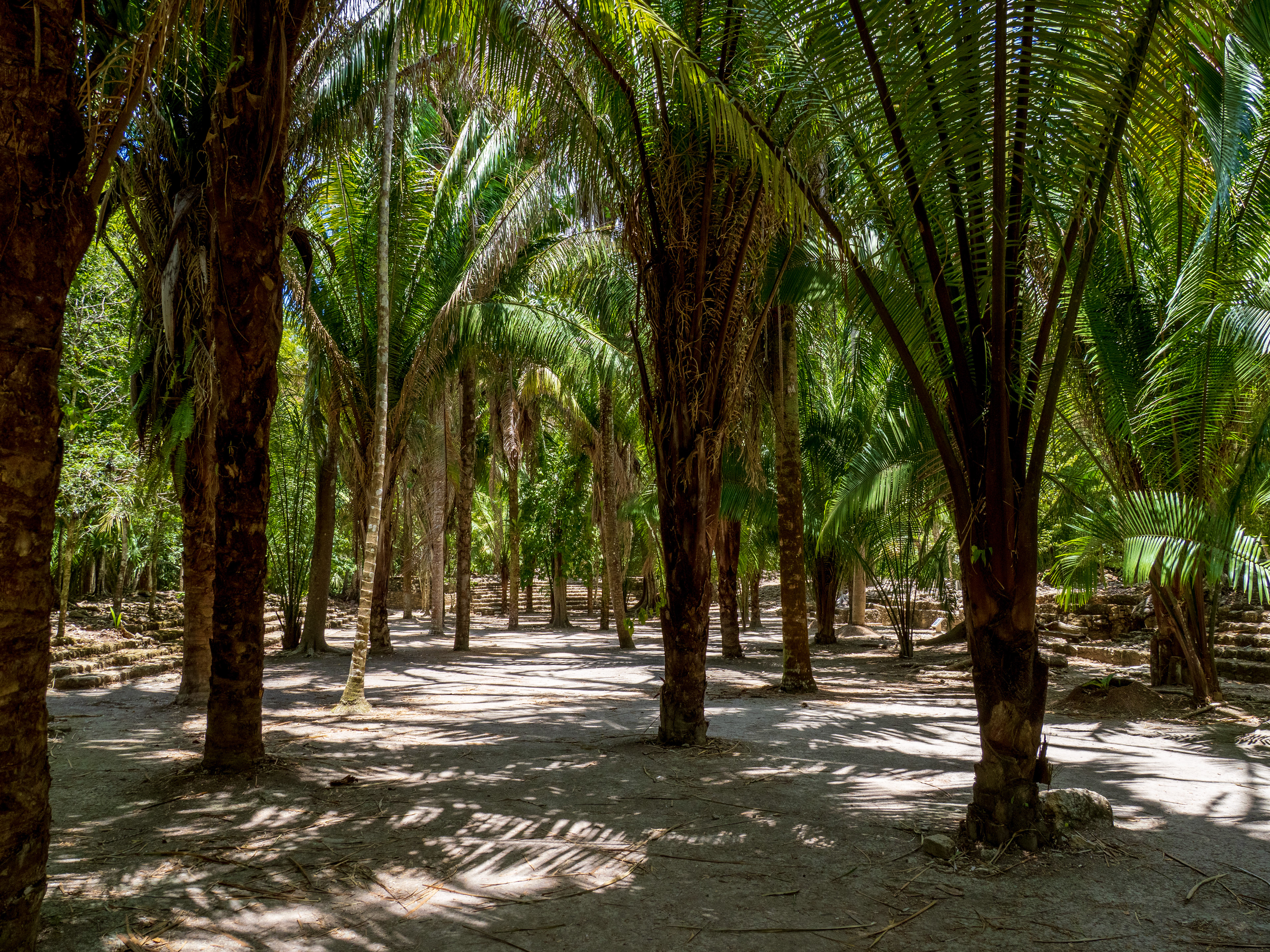 la place principale, perdue dans la jungle