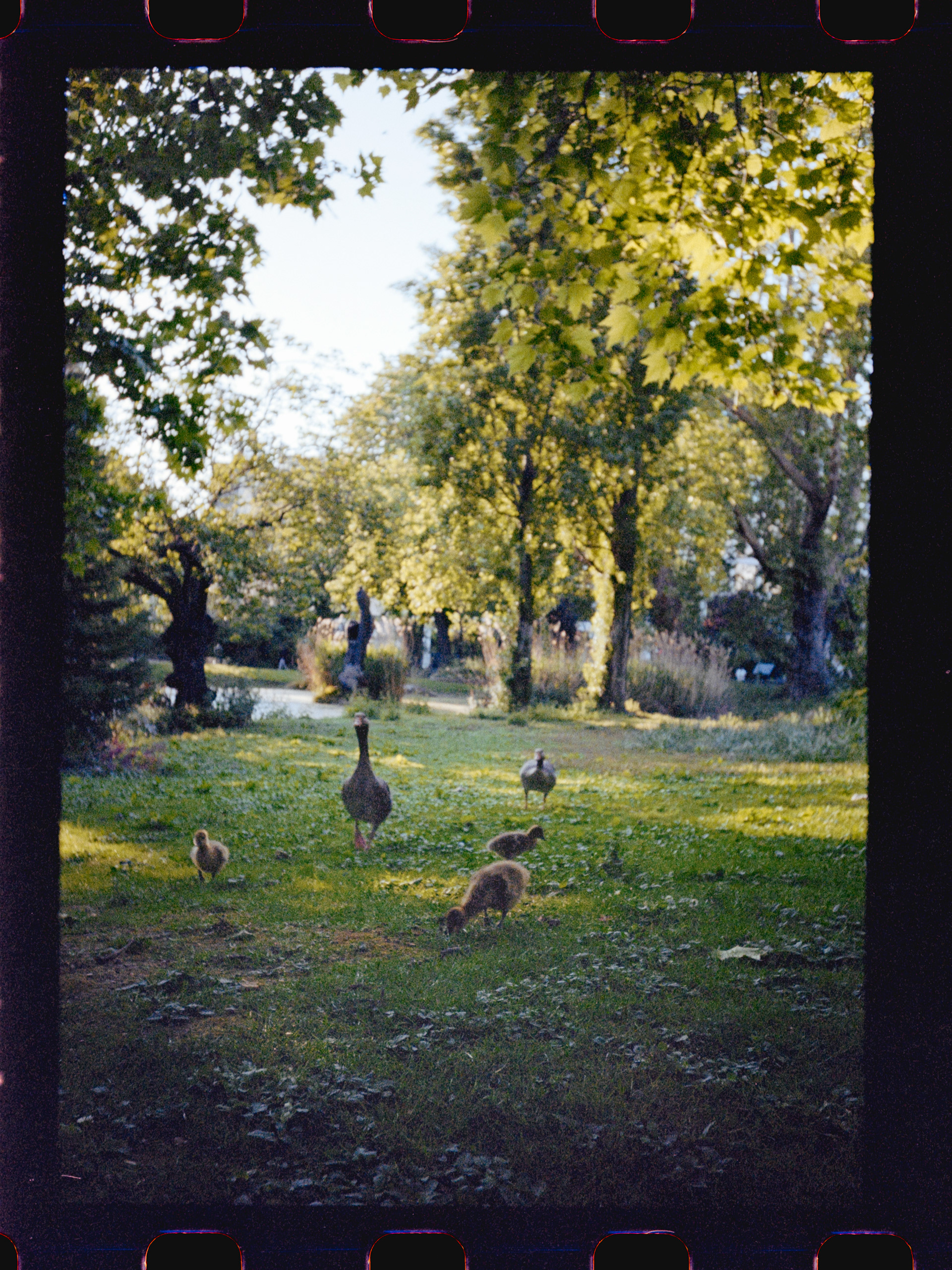 Square des batignoiles