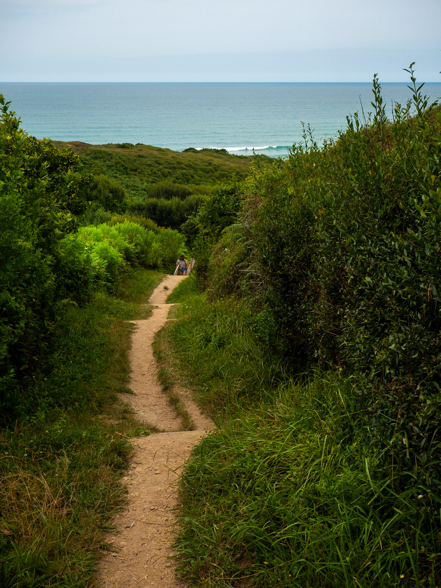 Les chemins vers la plage, juillet 2019