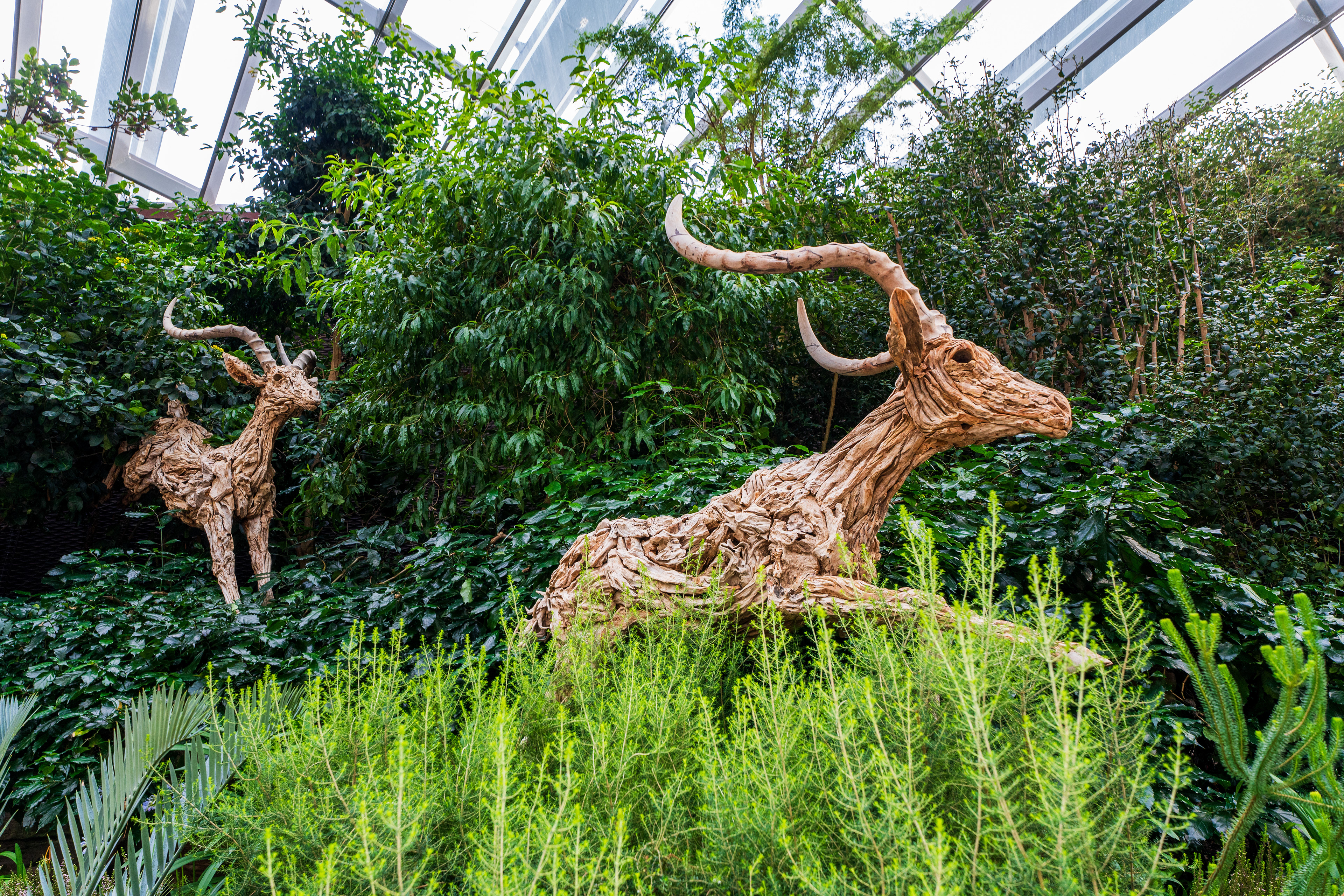 Flower Dome