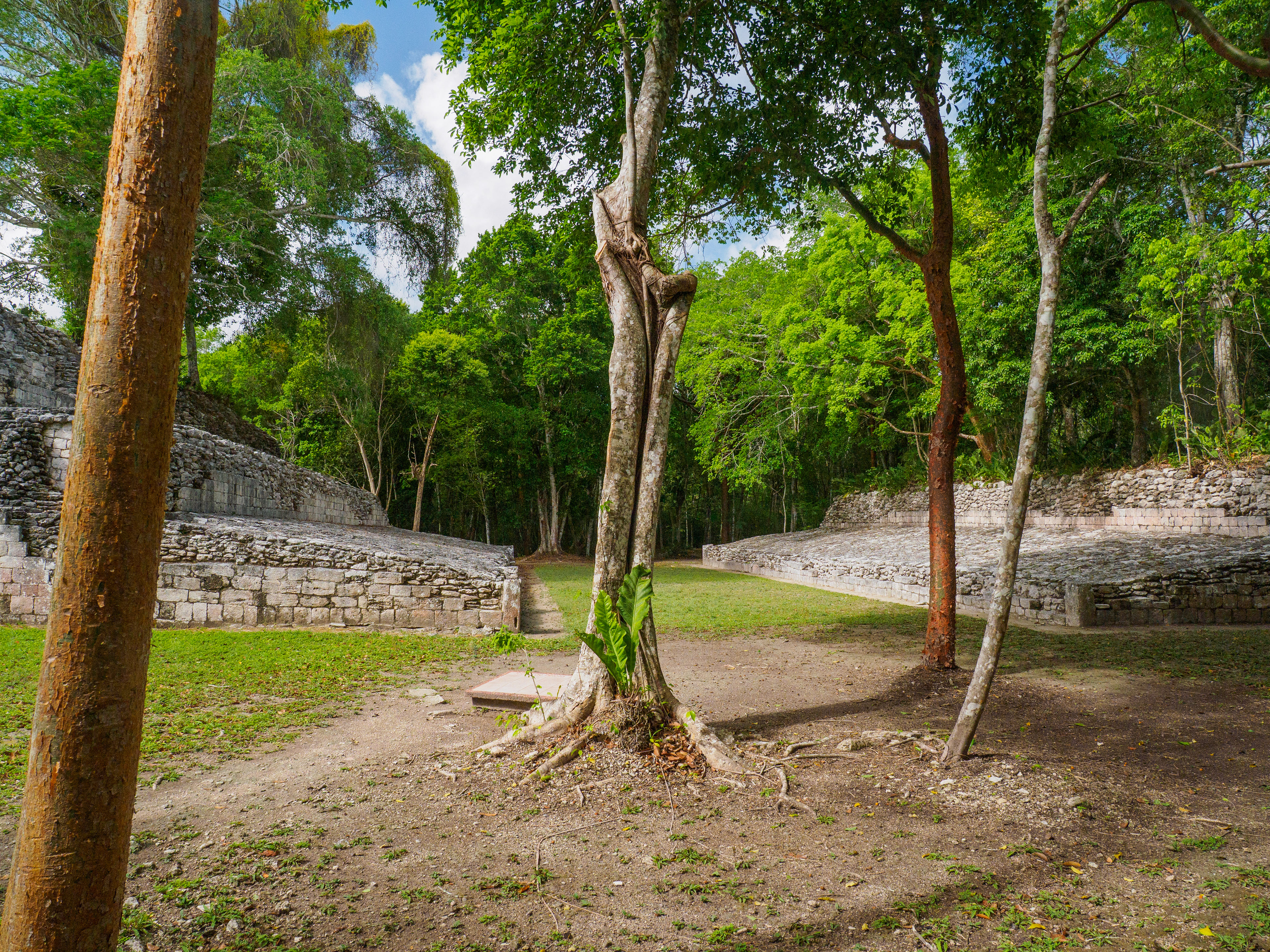 L'indispensable terrain de pelota