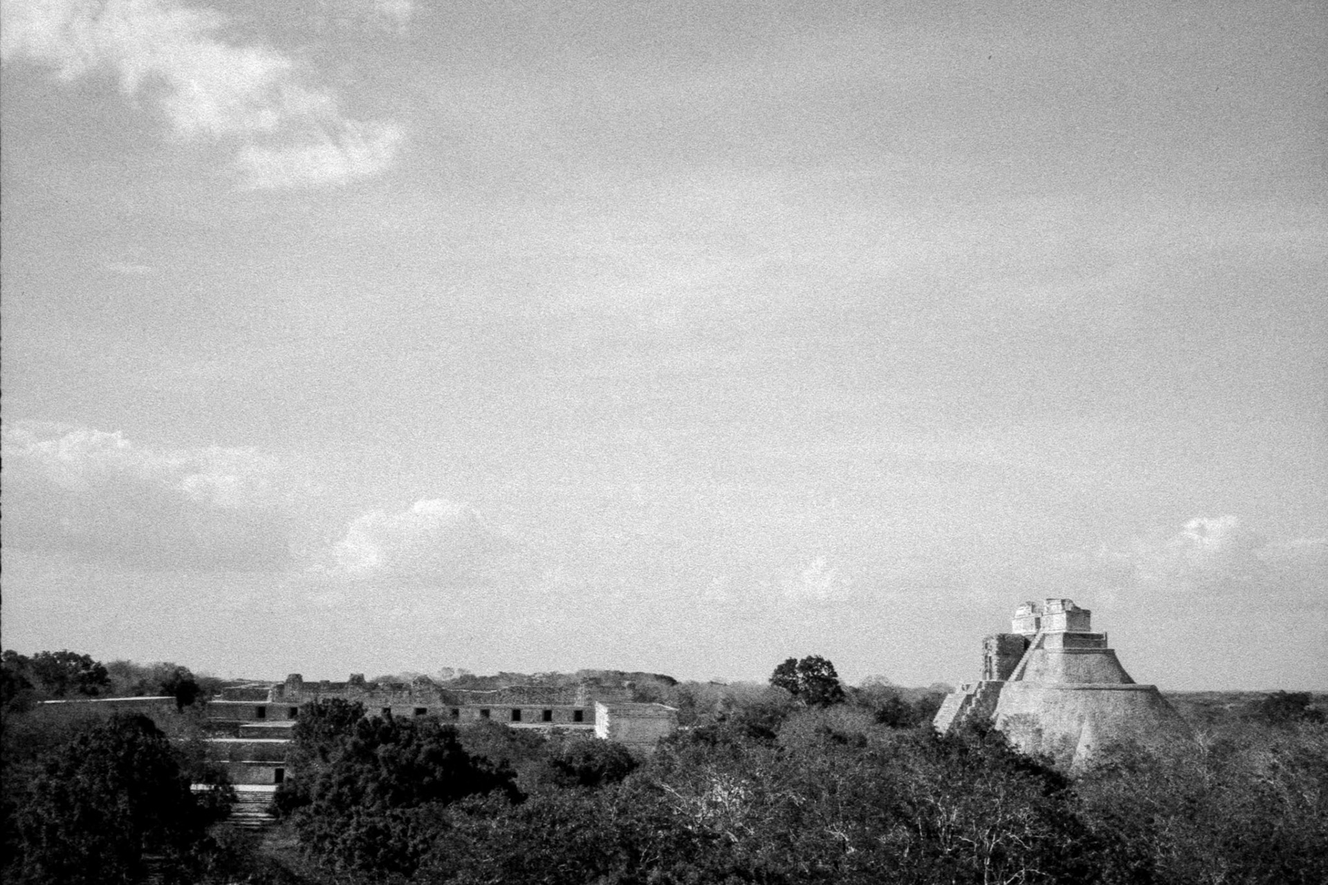 Temple du devin. Foma 200