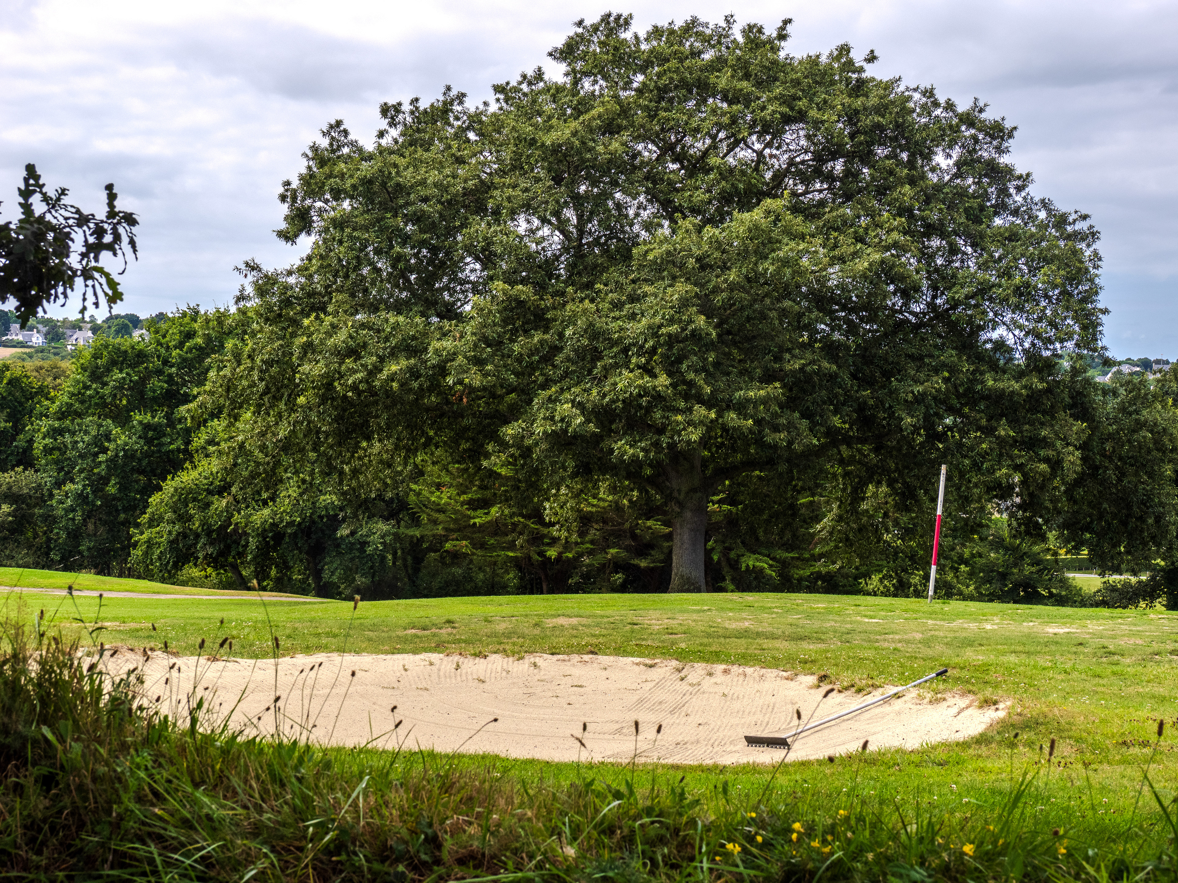 Golf de Saint Cast