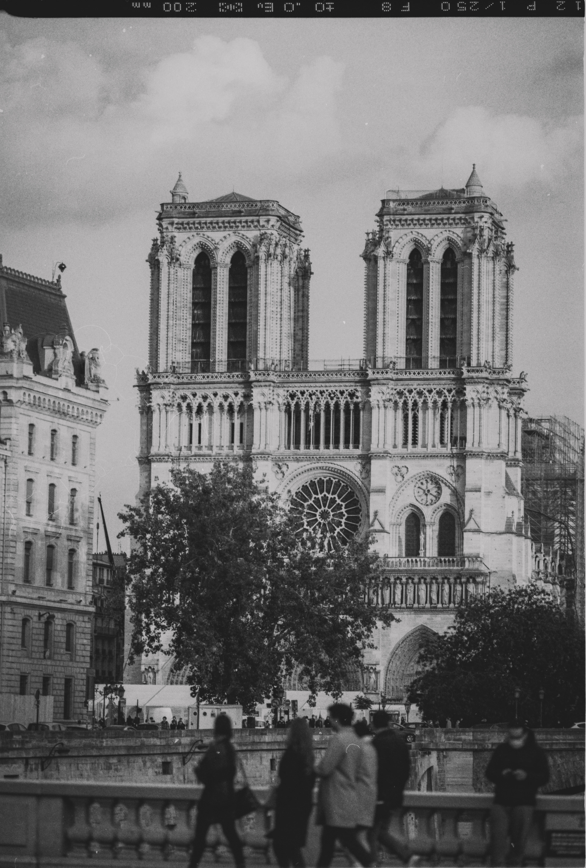 Notre-Dame