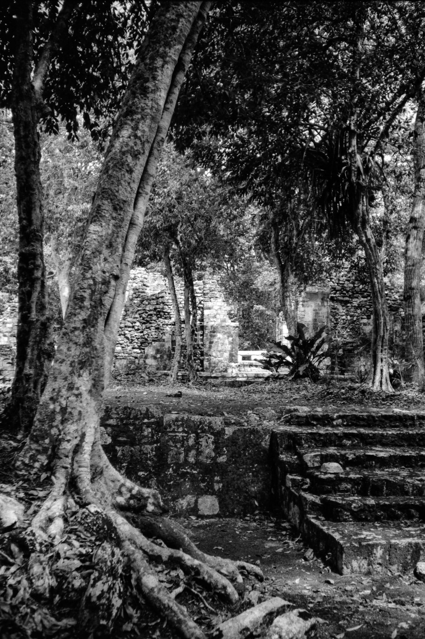 Versions argentique noir et blanc