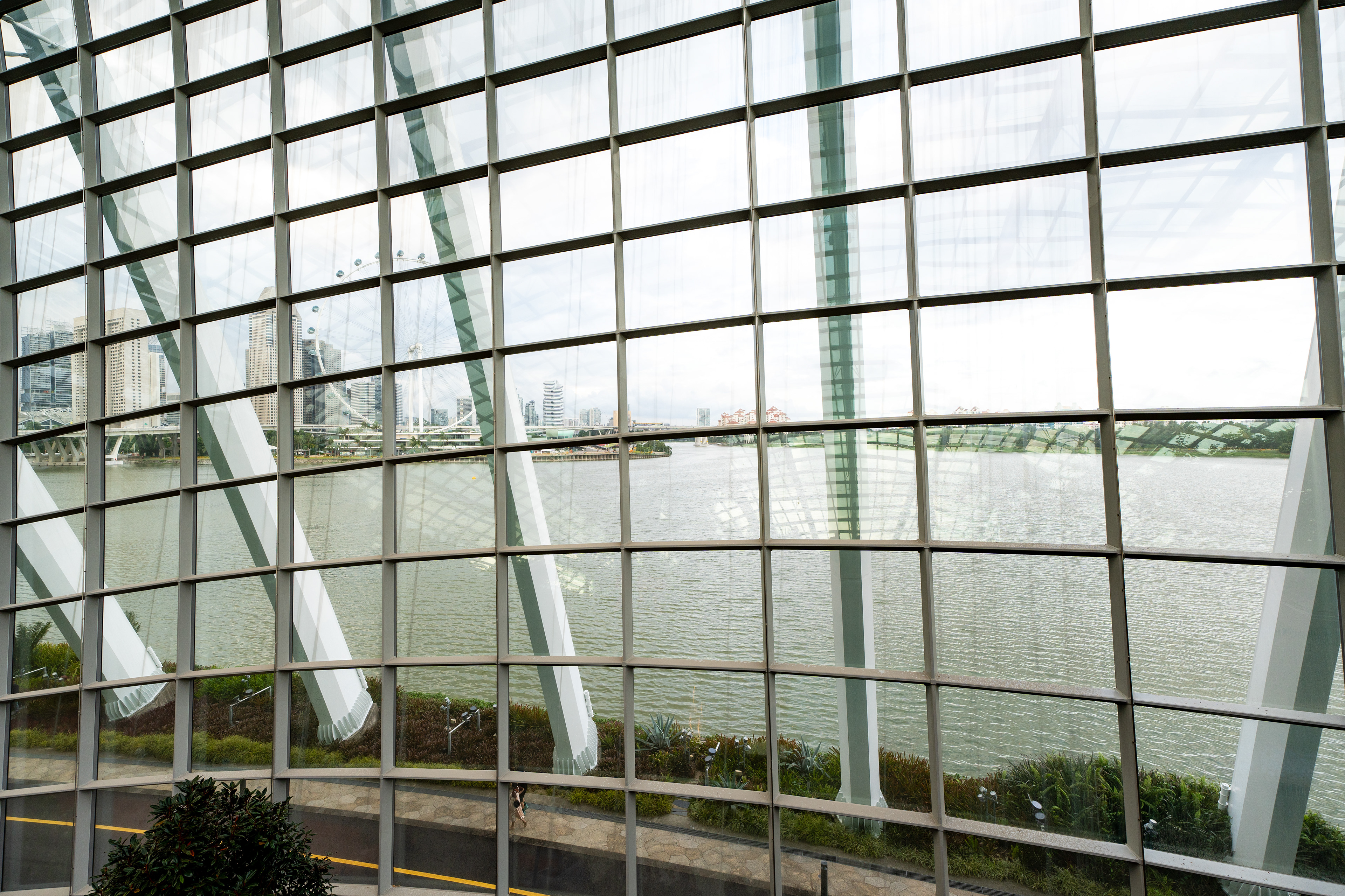 la ville depuis le Flower Dome