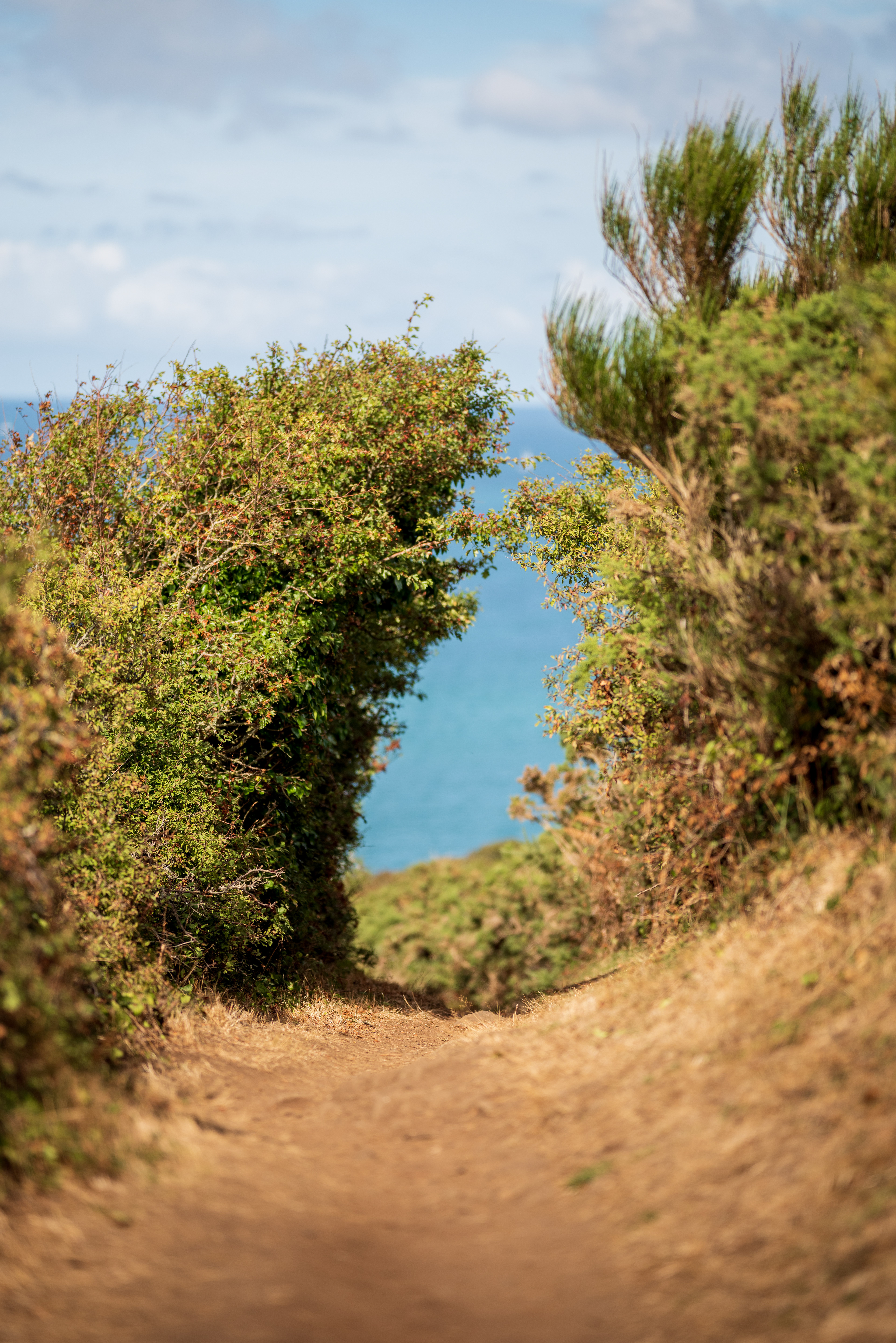 Chemin des douaniers