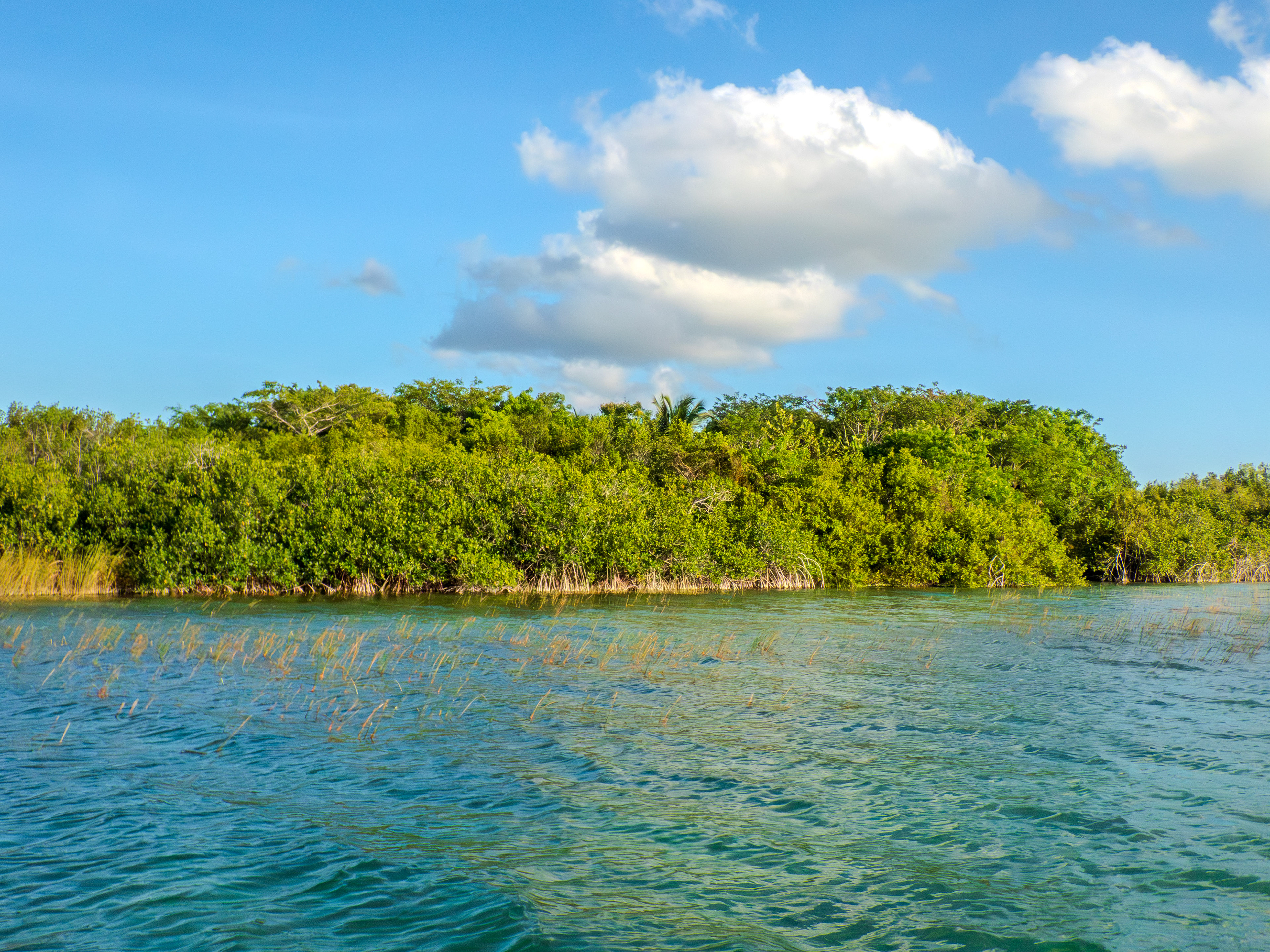 une ambiance plus calme pour la dernière baignade