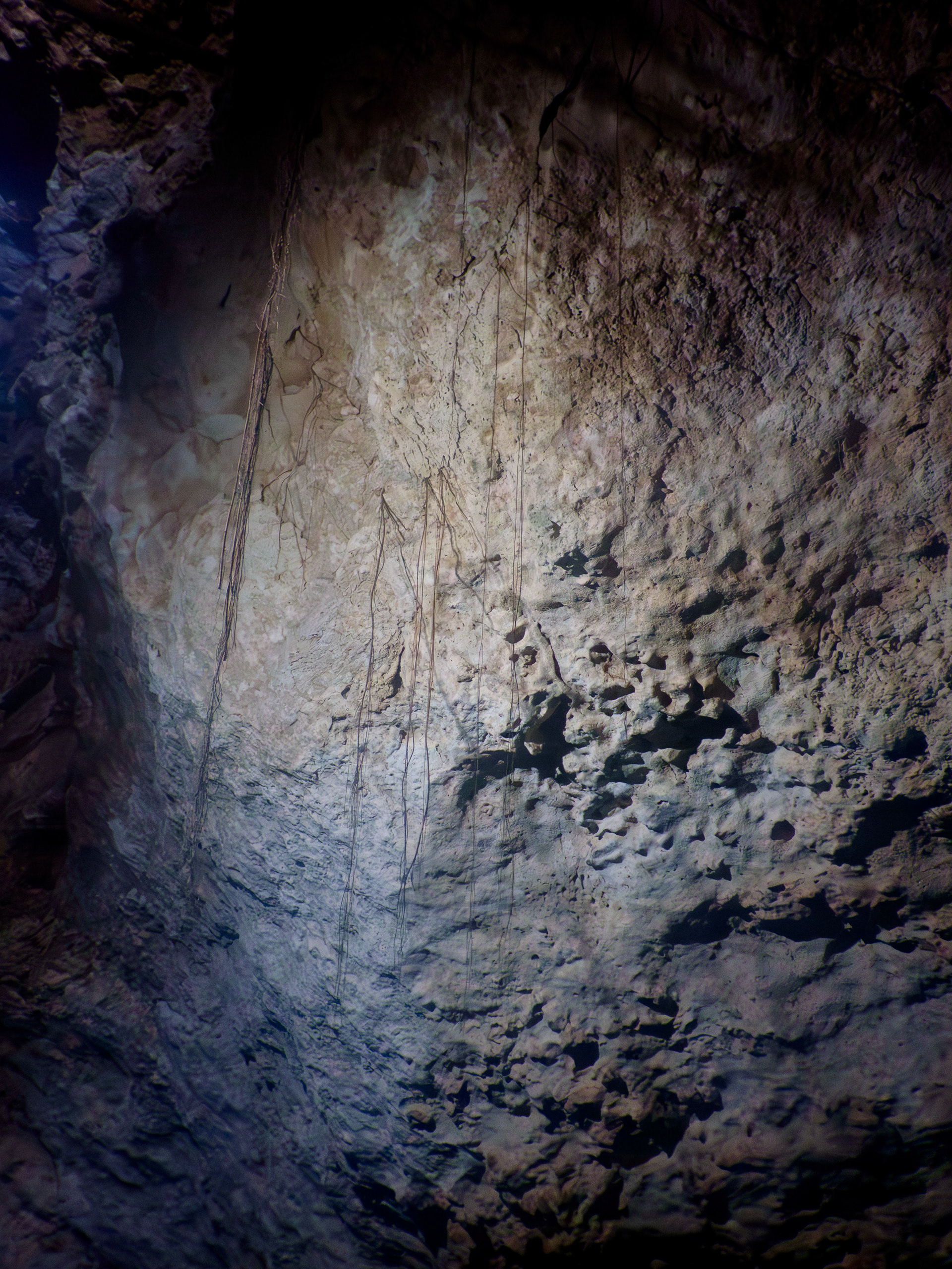 Cénote cascabel, souterrain