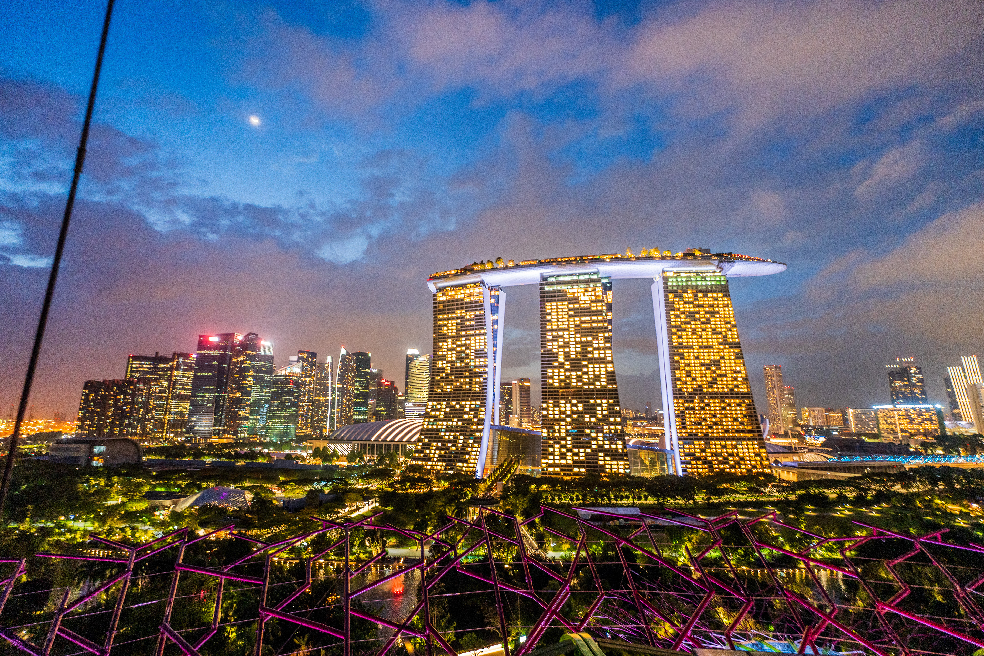 Vue depuis un des Supertrees