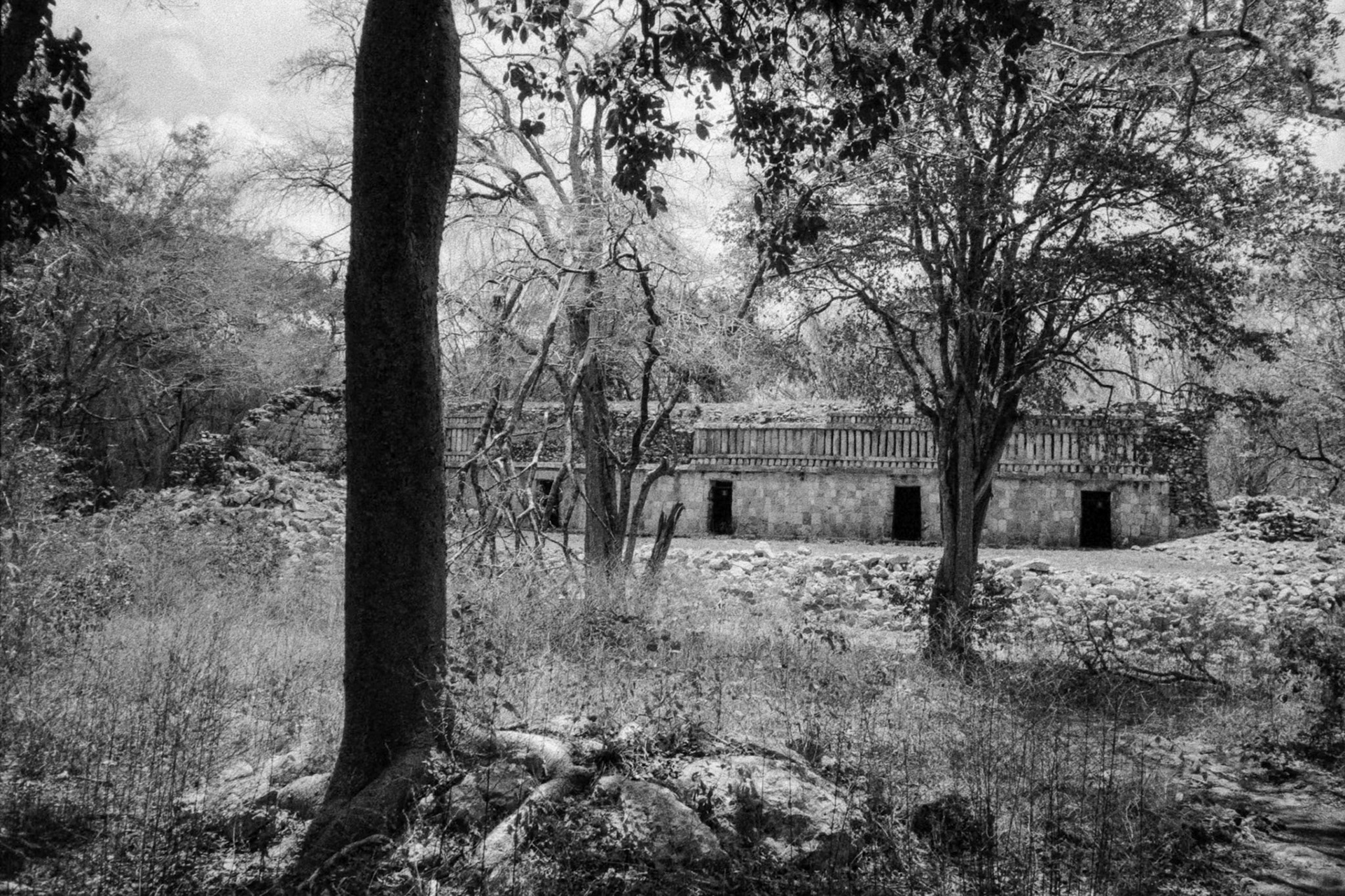 temple des colonnes en argentique