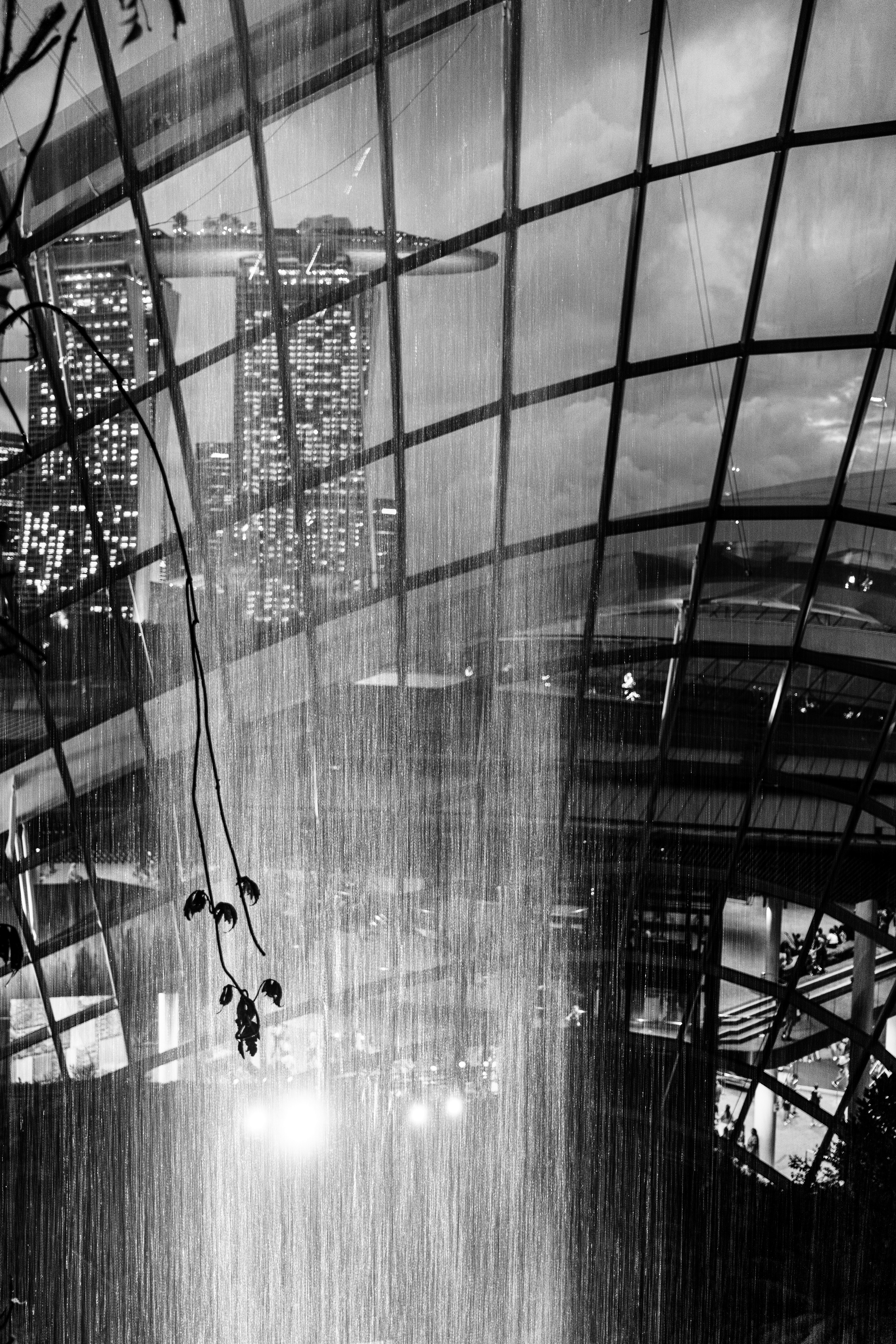 Marina Bays Sands depuis Cloud Forest