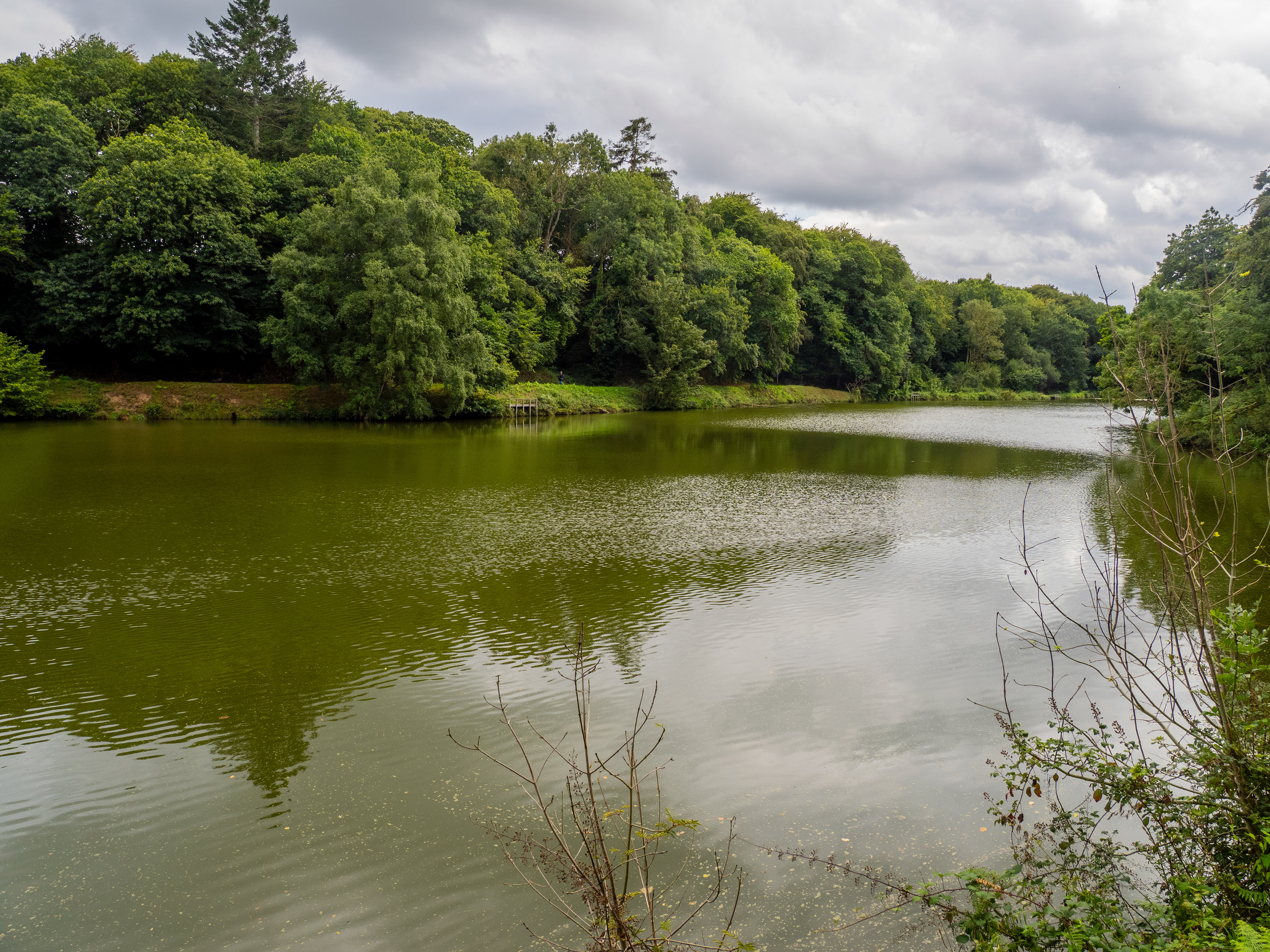 Etang de Beaulieu
