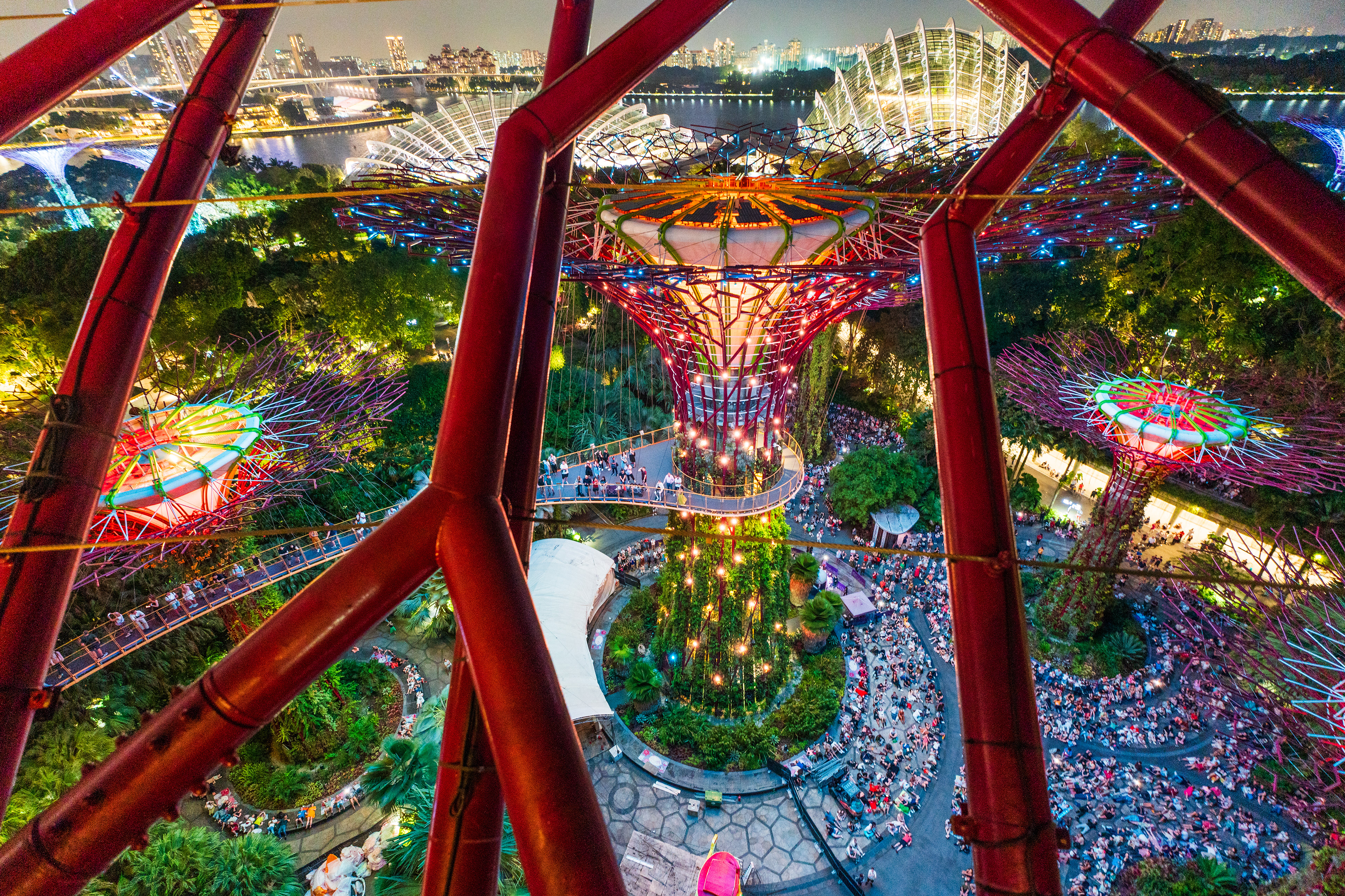 show depuis un Vue depuis un des Supertrees