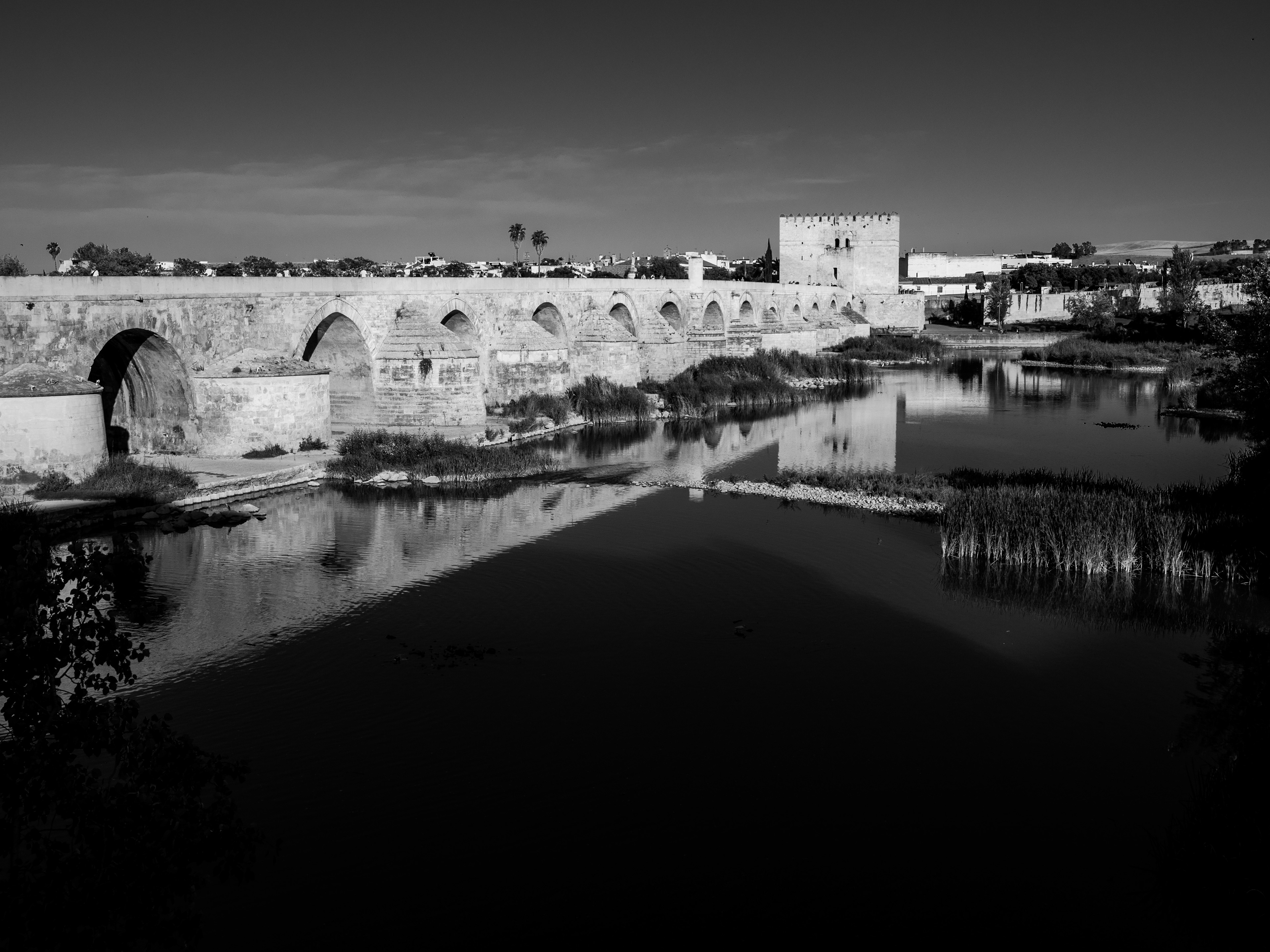 et les contrastes sont magnifiques en noir et blanc