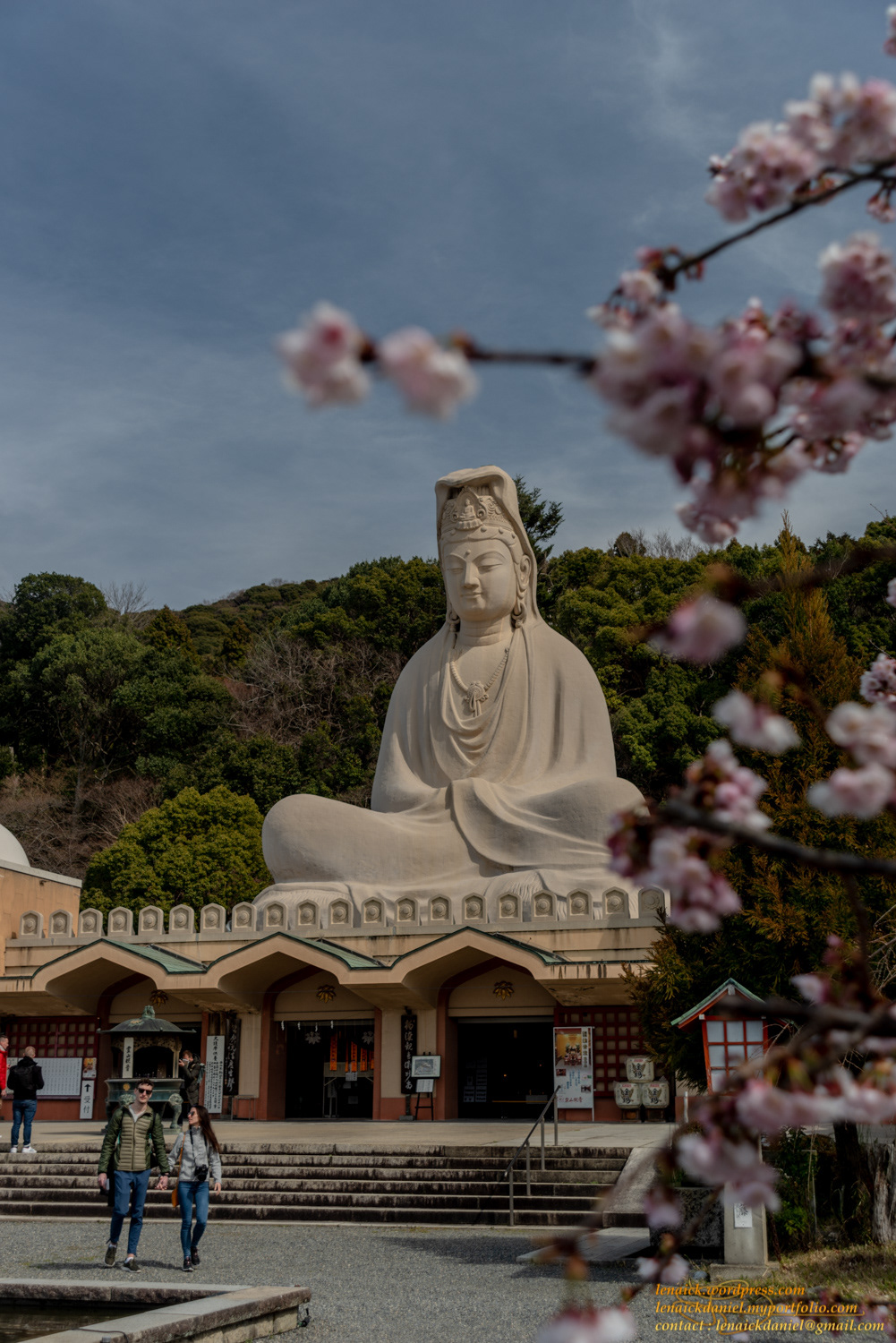 Premières fleurs de cerisiers, au Ryozen Kannon