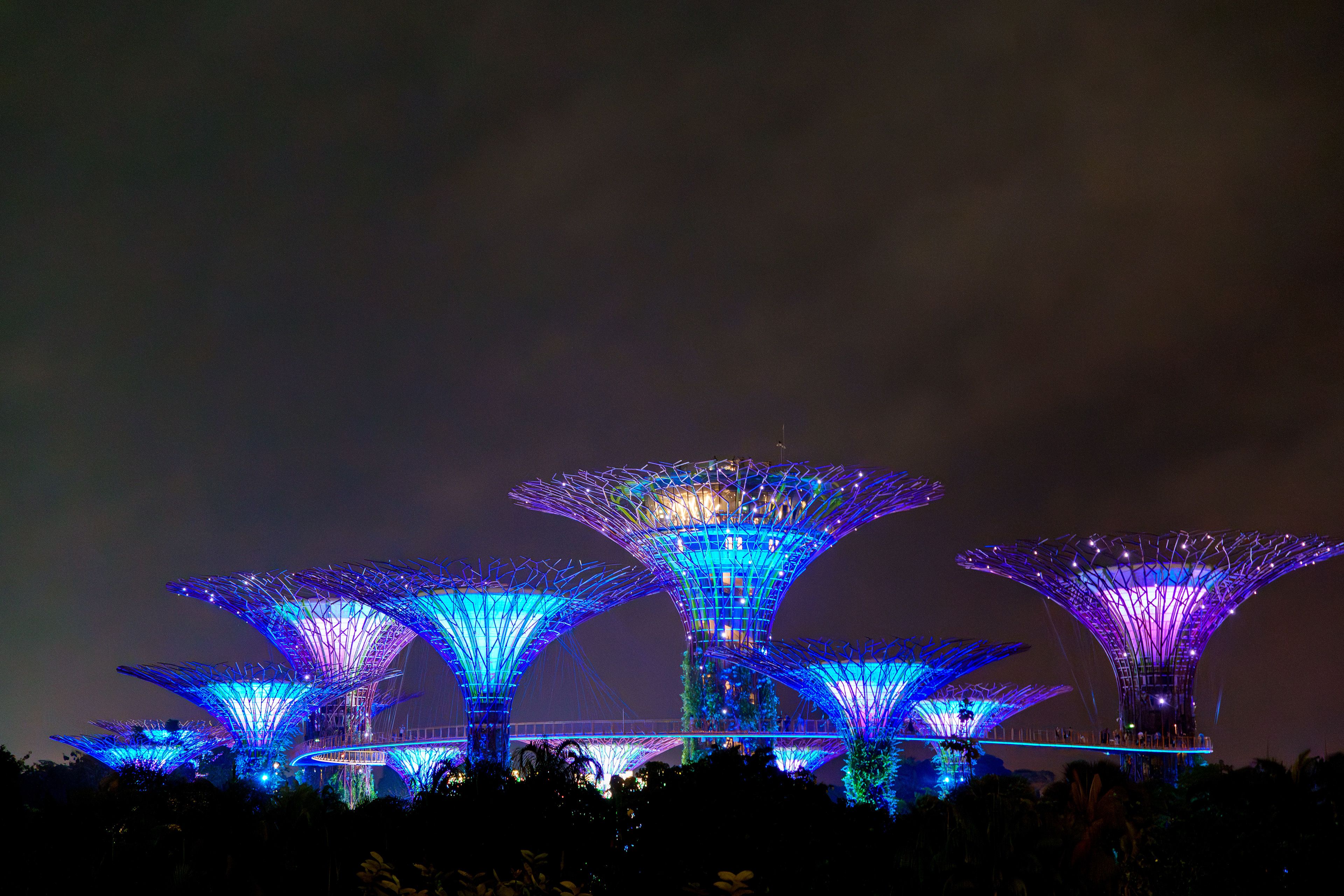 Show nocturne , point de vue gratuit