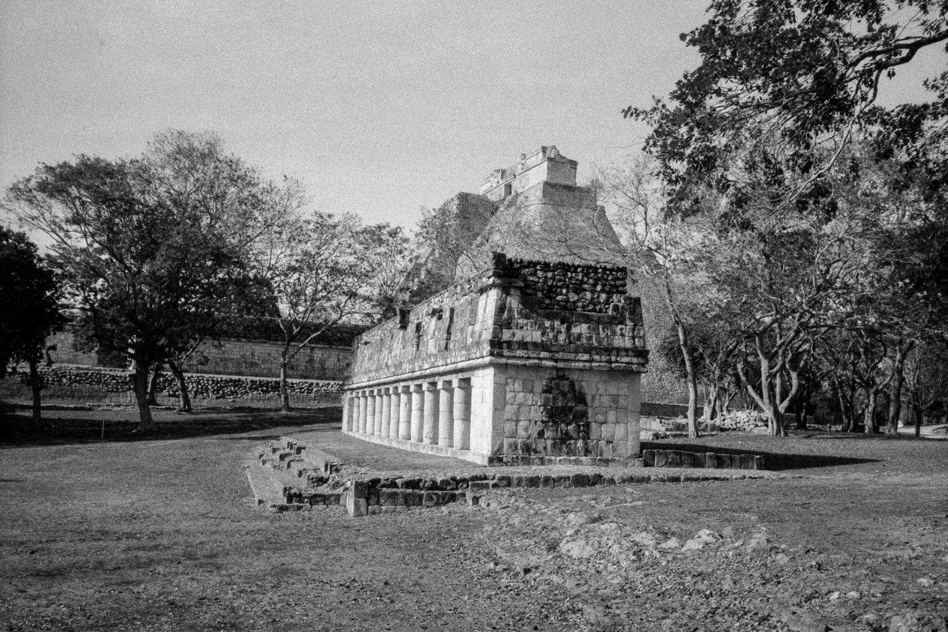 Temple de l'iguane. Foma 200