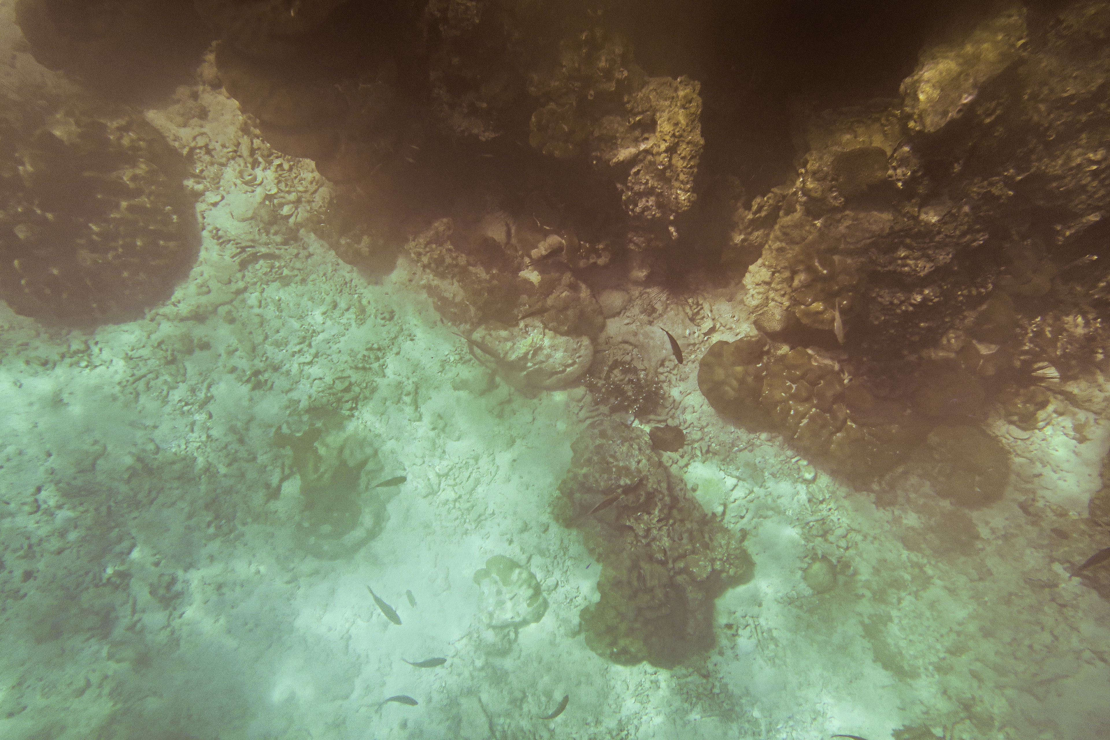 snorkeling