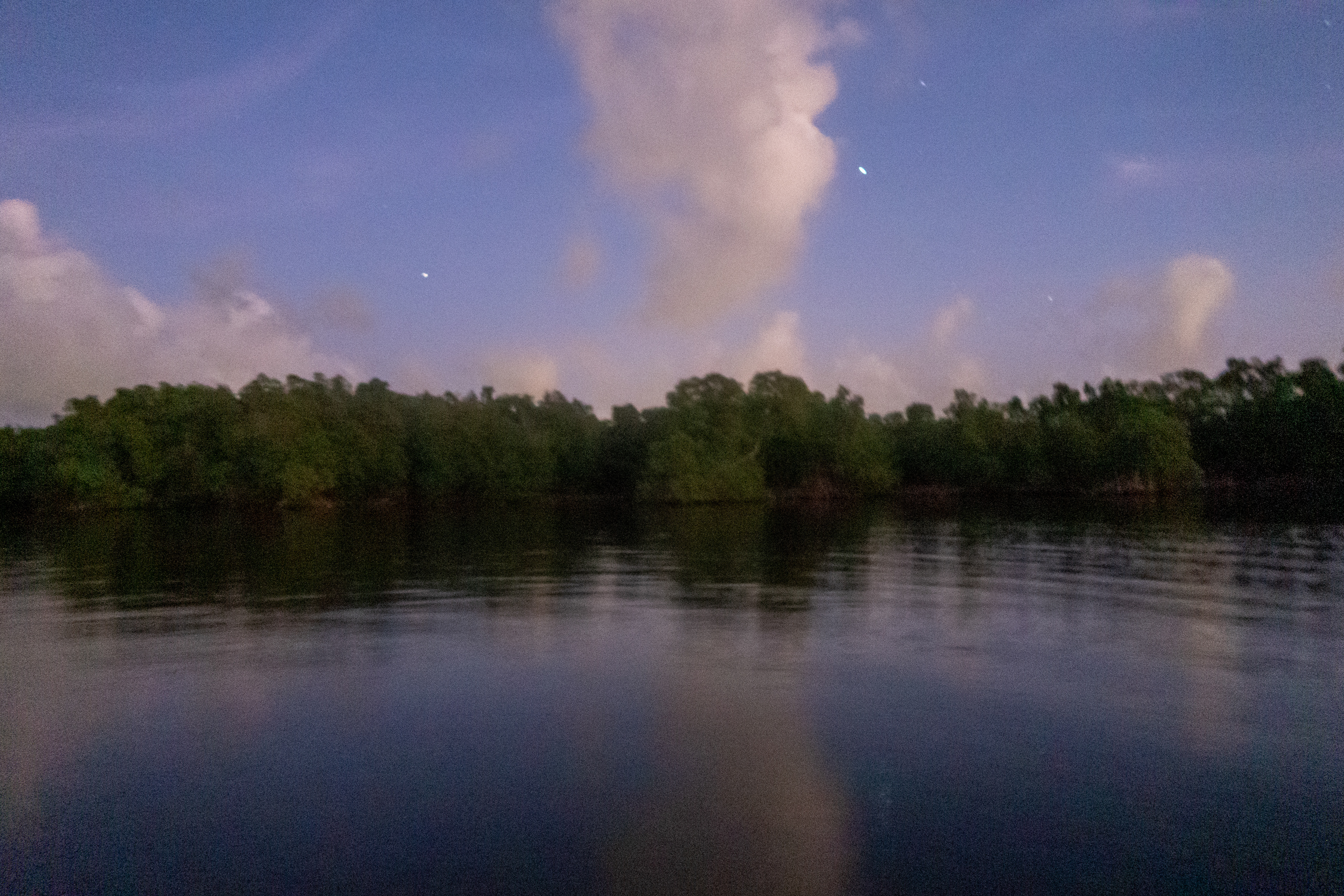 tombée de la nuit sur la mangrove