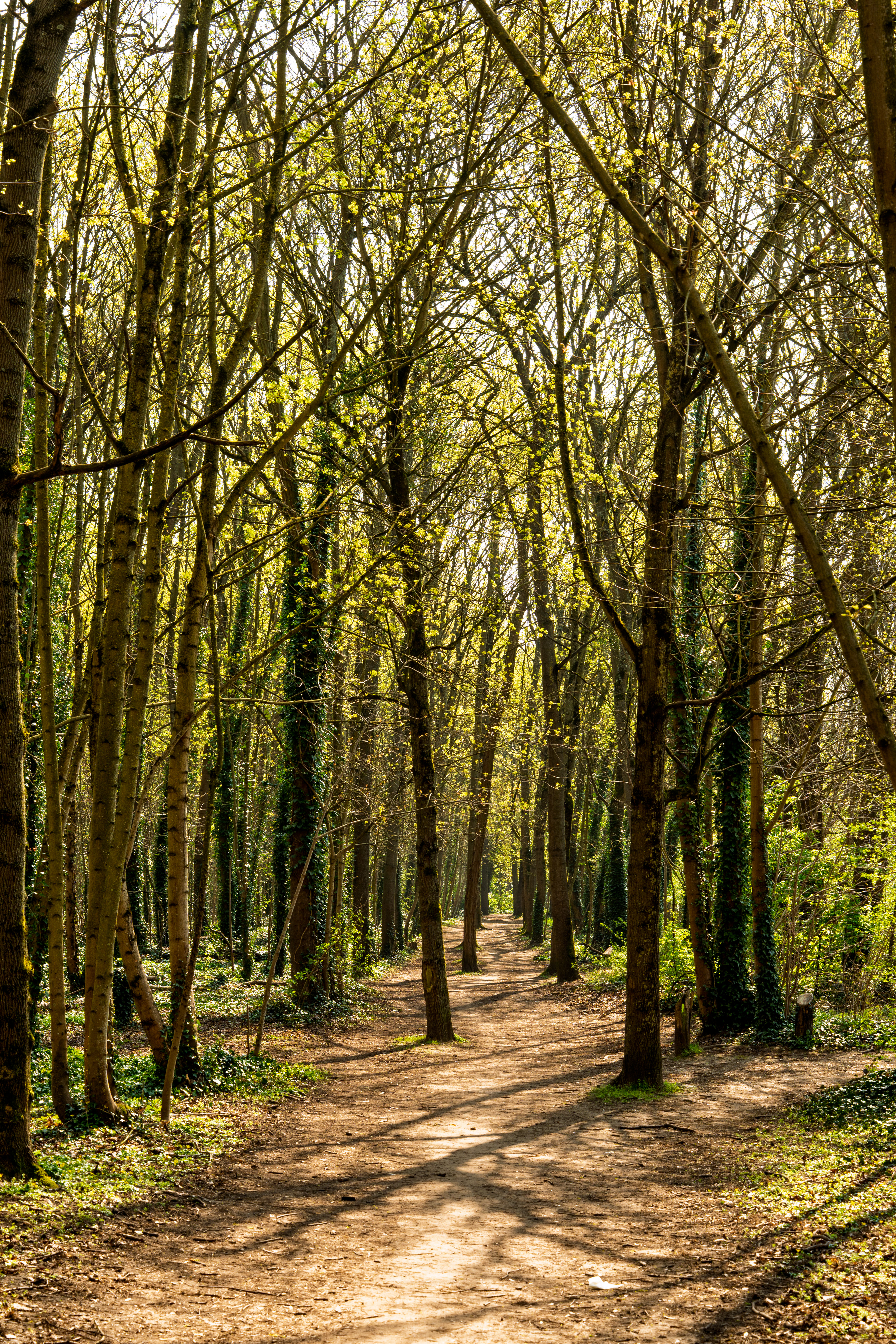 sentier