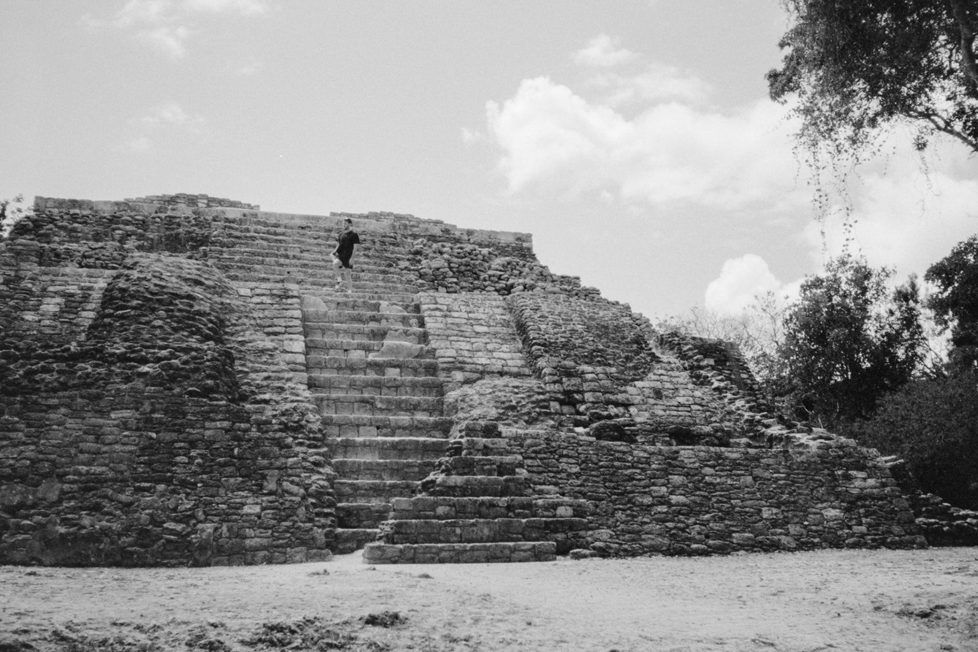 C'est à peu près tout ce qui dépasse de la jungle pour cette structure