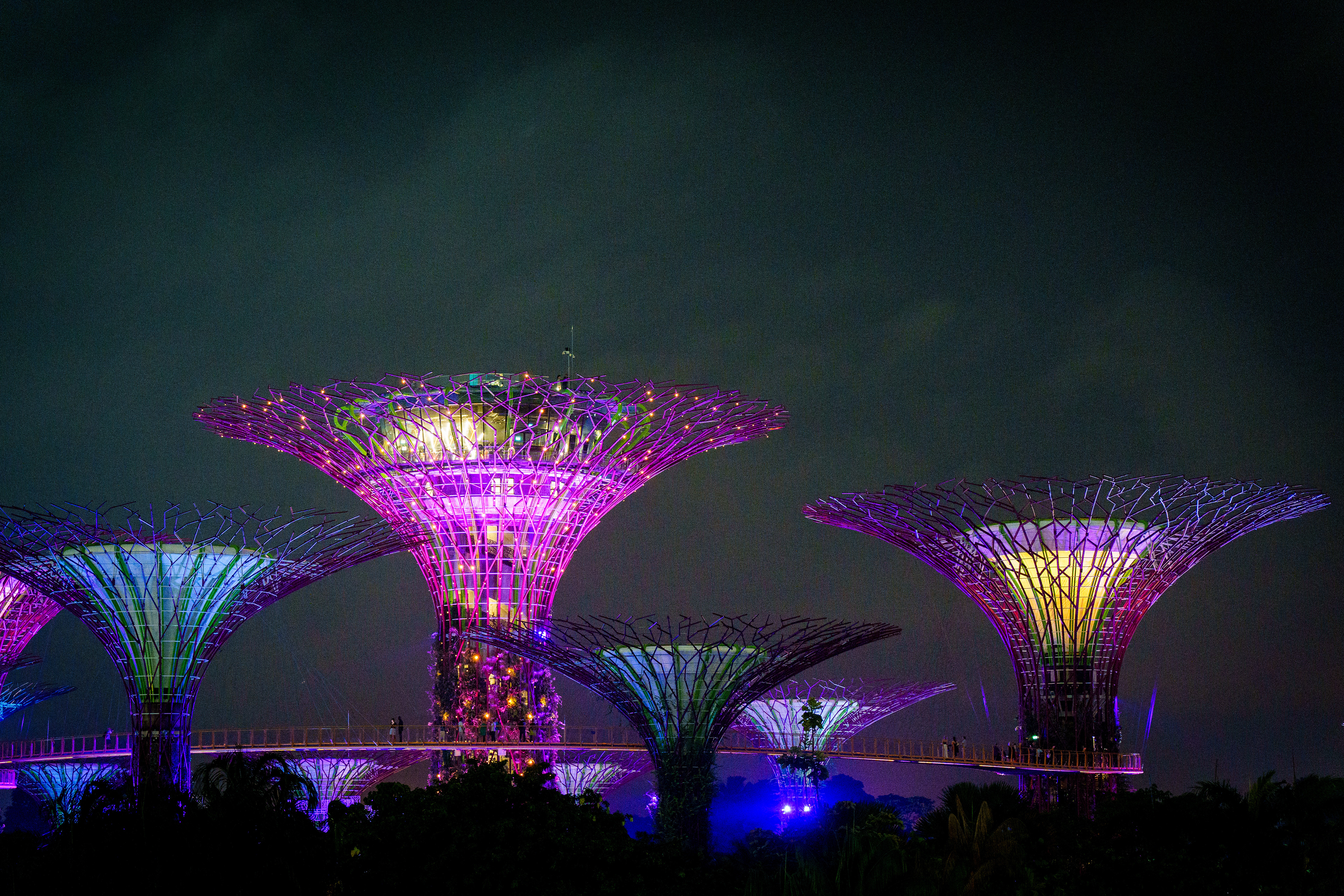Show nocturne , point de vue gratuit