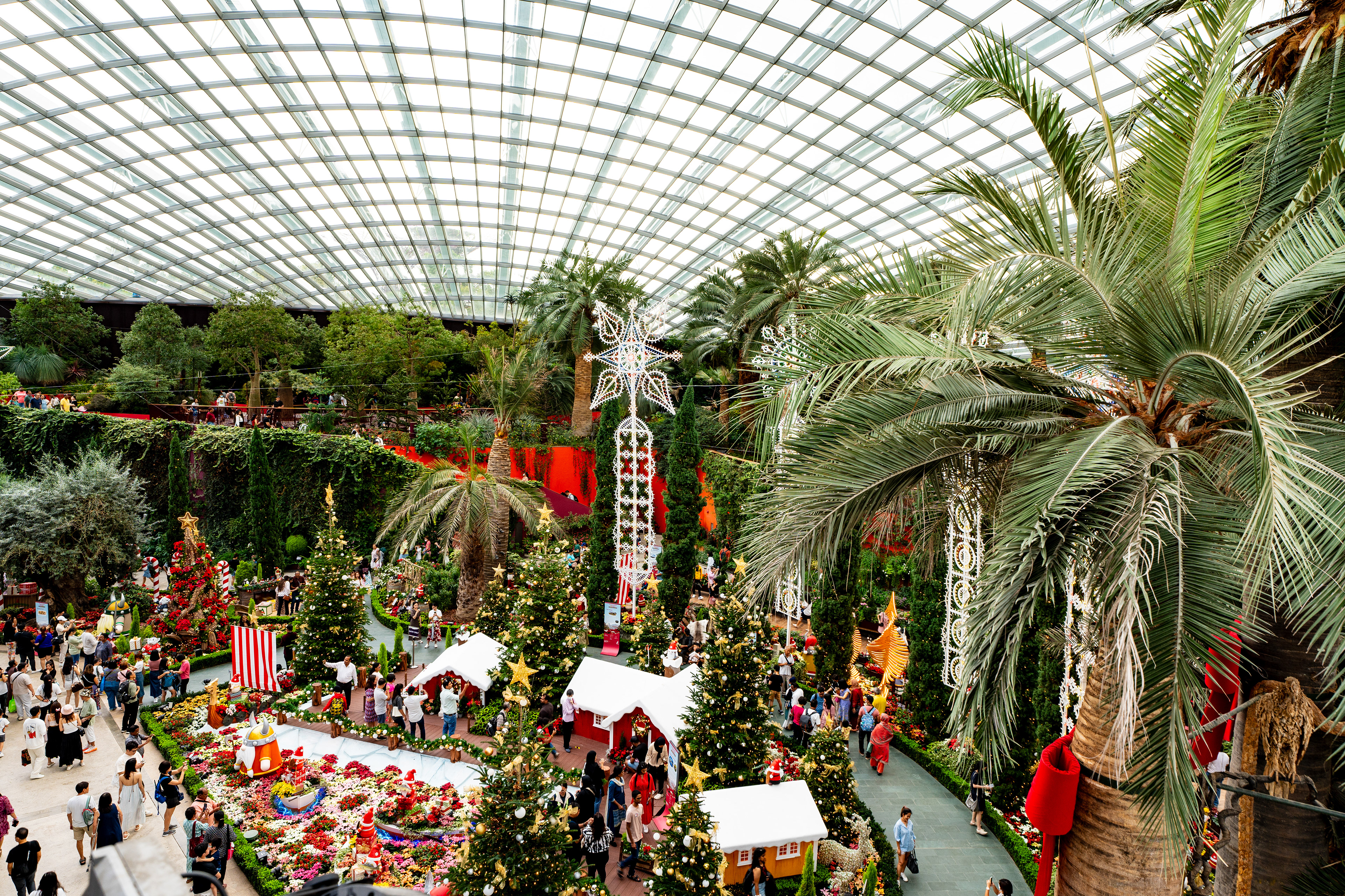 Flower Dome ambiance Noël