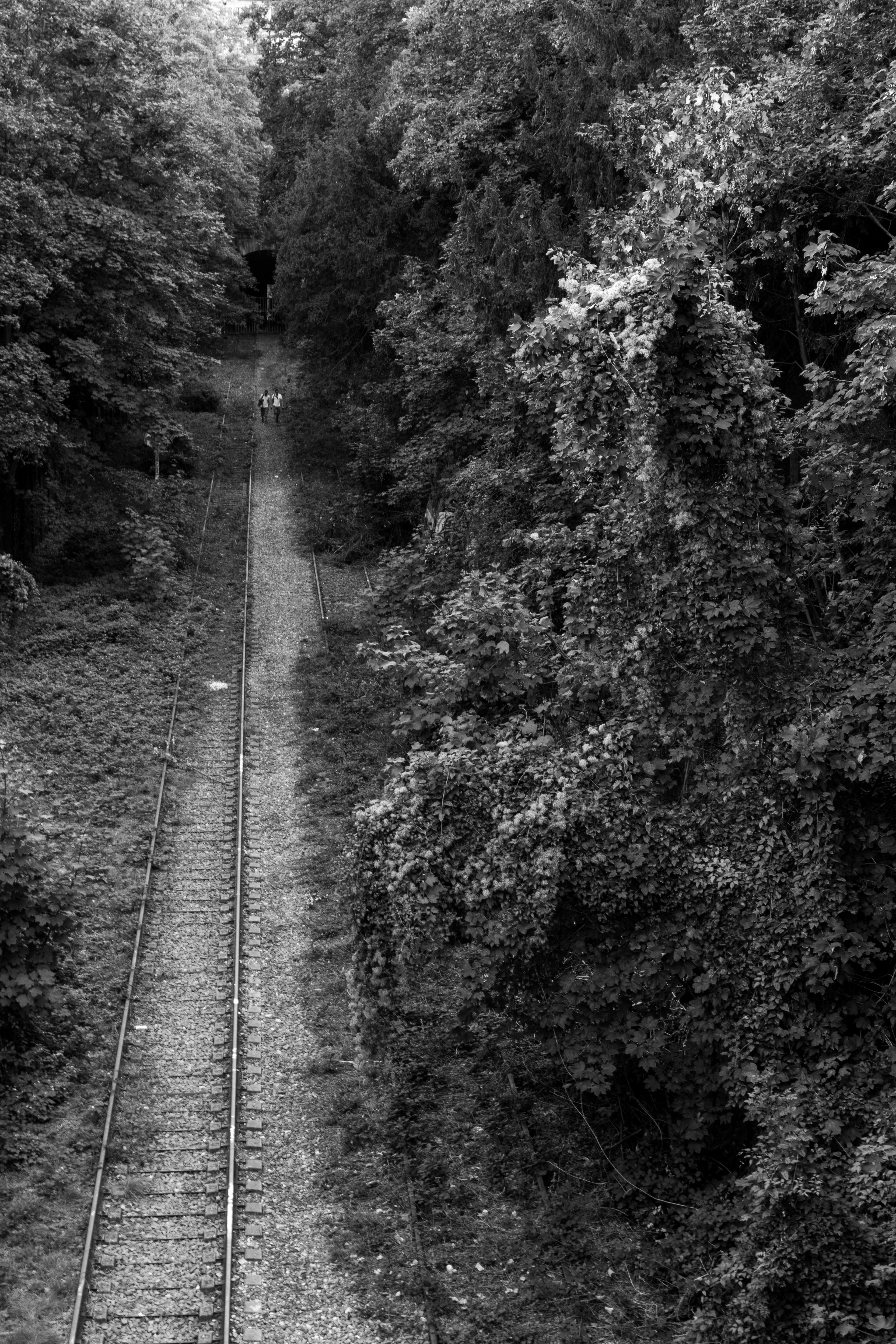 Petite ceinture
