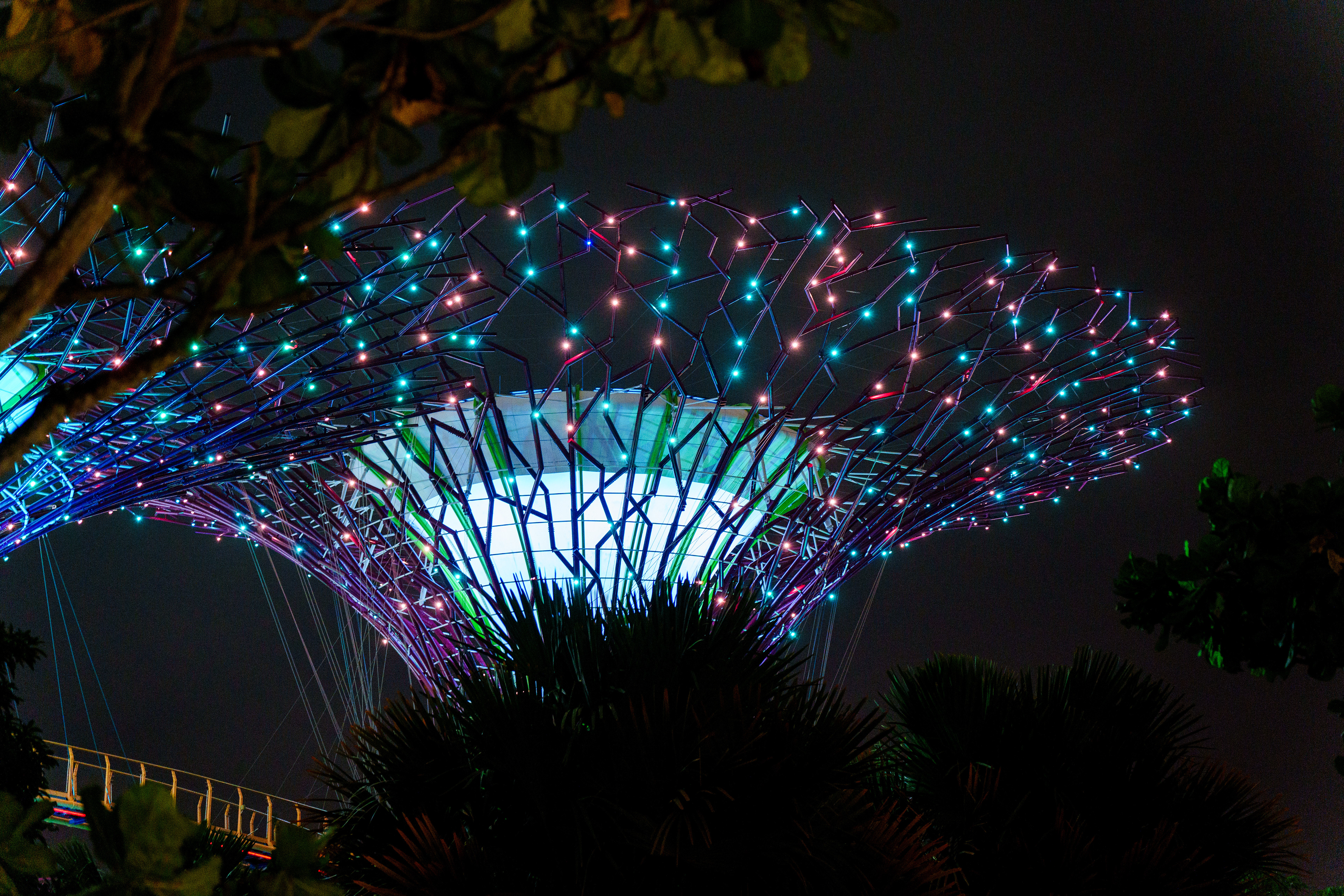Show nocturne , point de vue gratuit