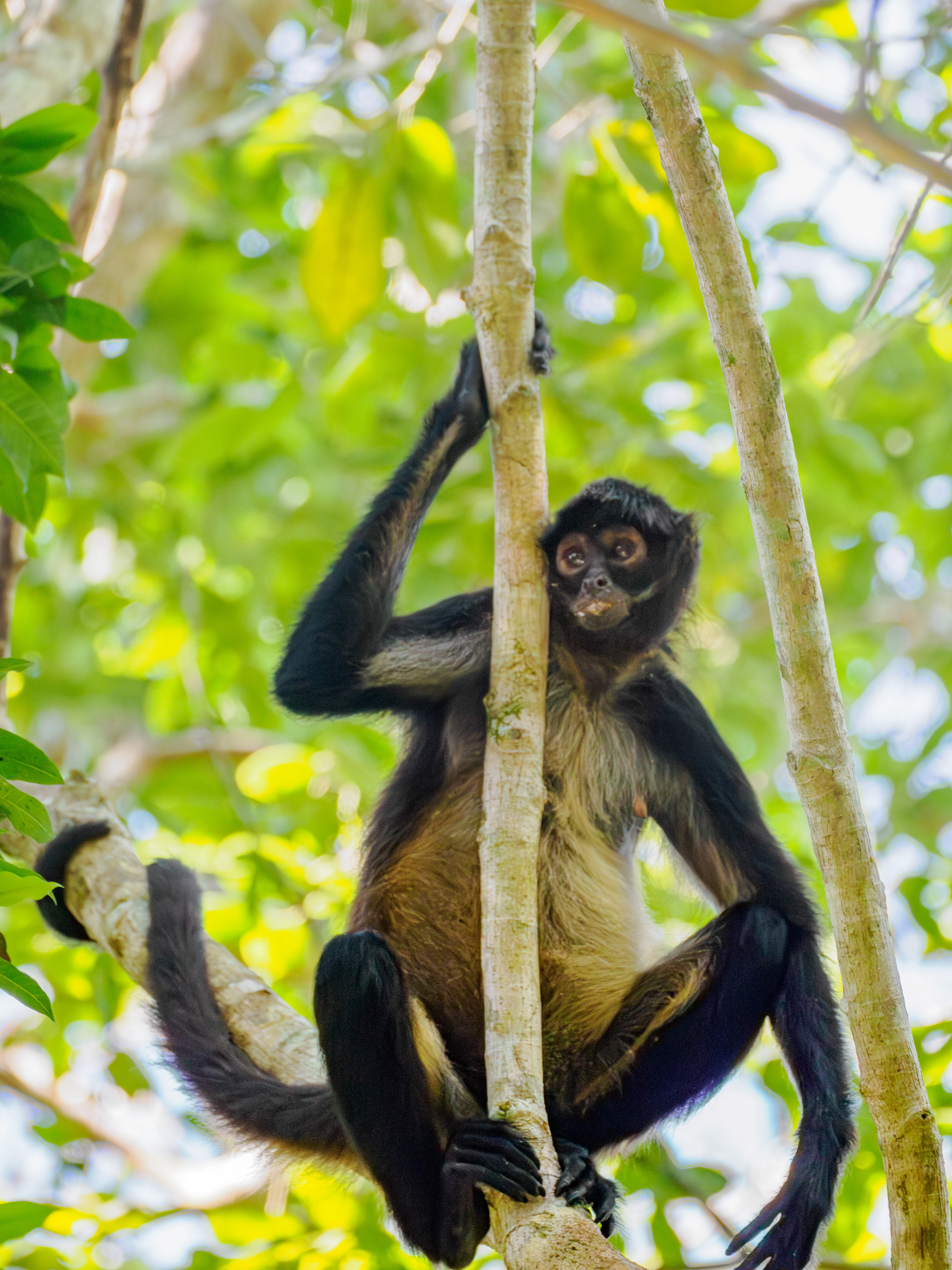 Les parents ne sont pas loin