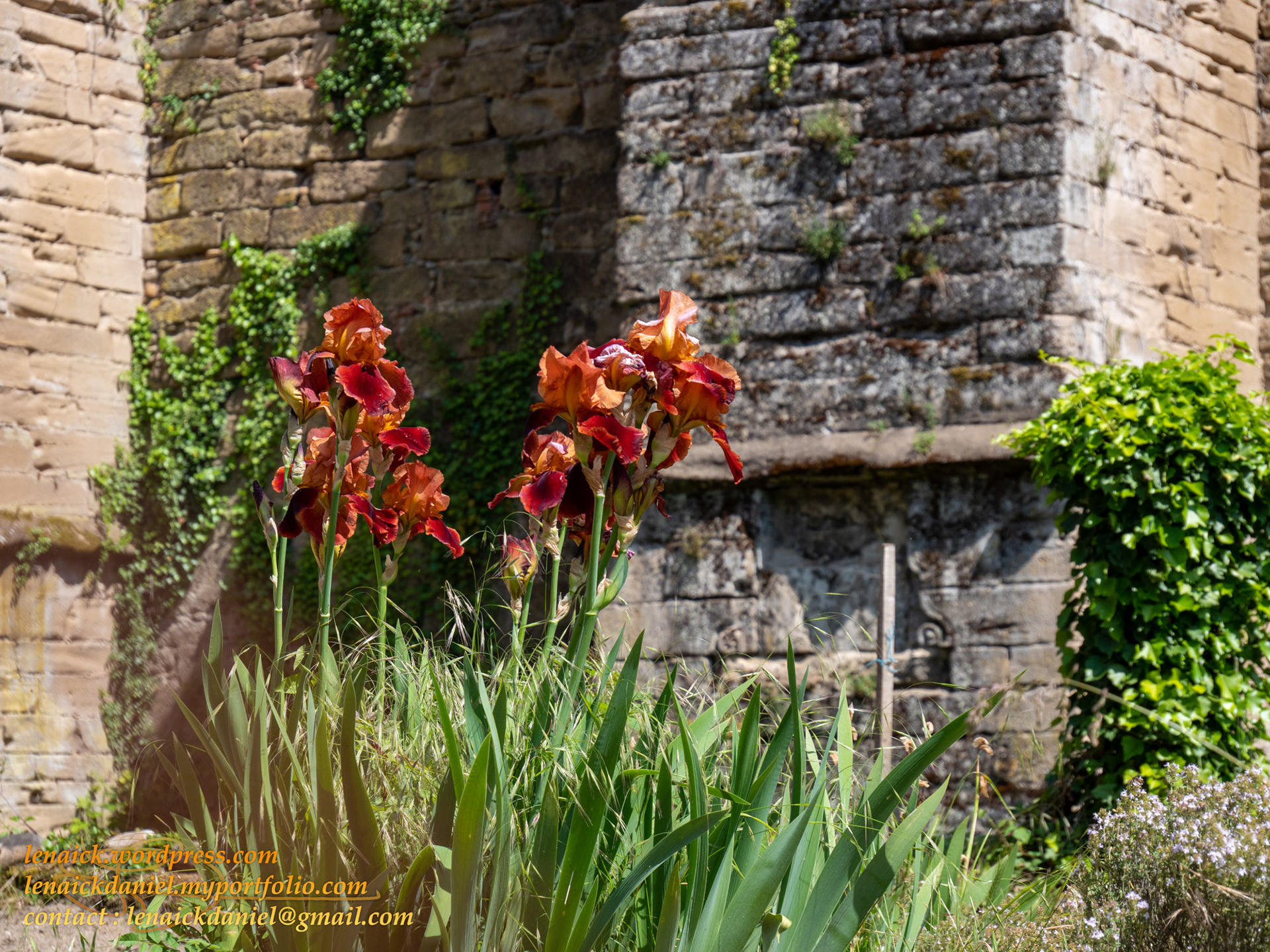 Au pied des contreforts soutenant le jardin de l'abbaye