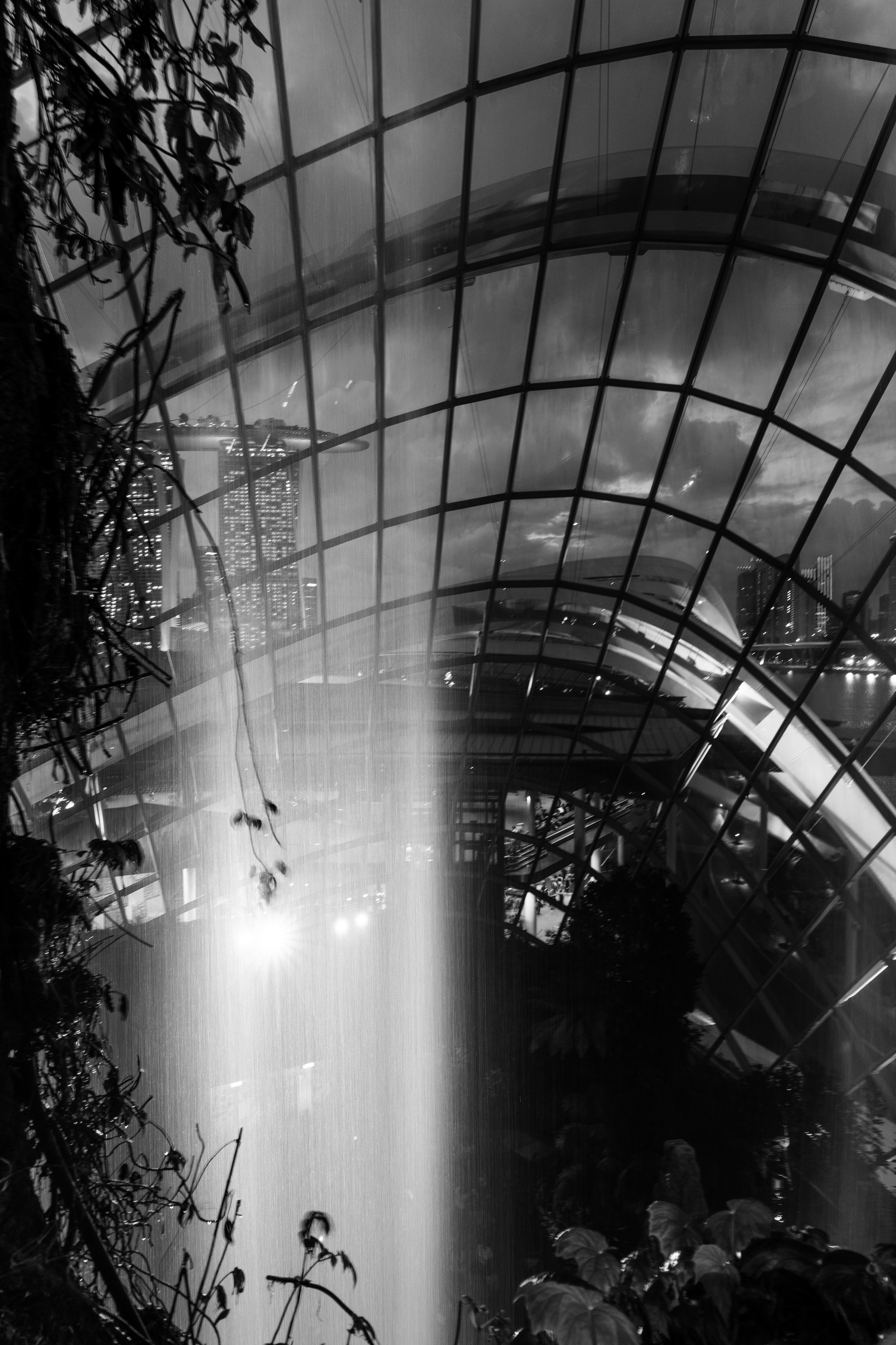 Cloud Forest