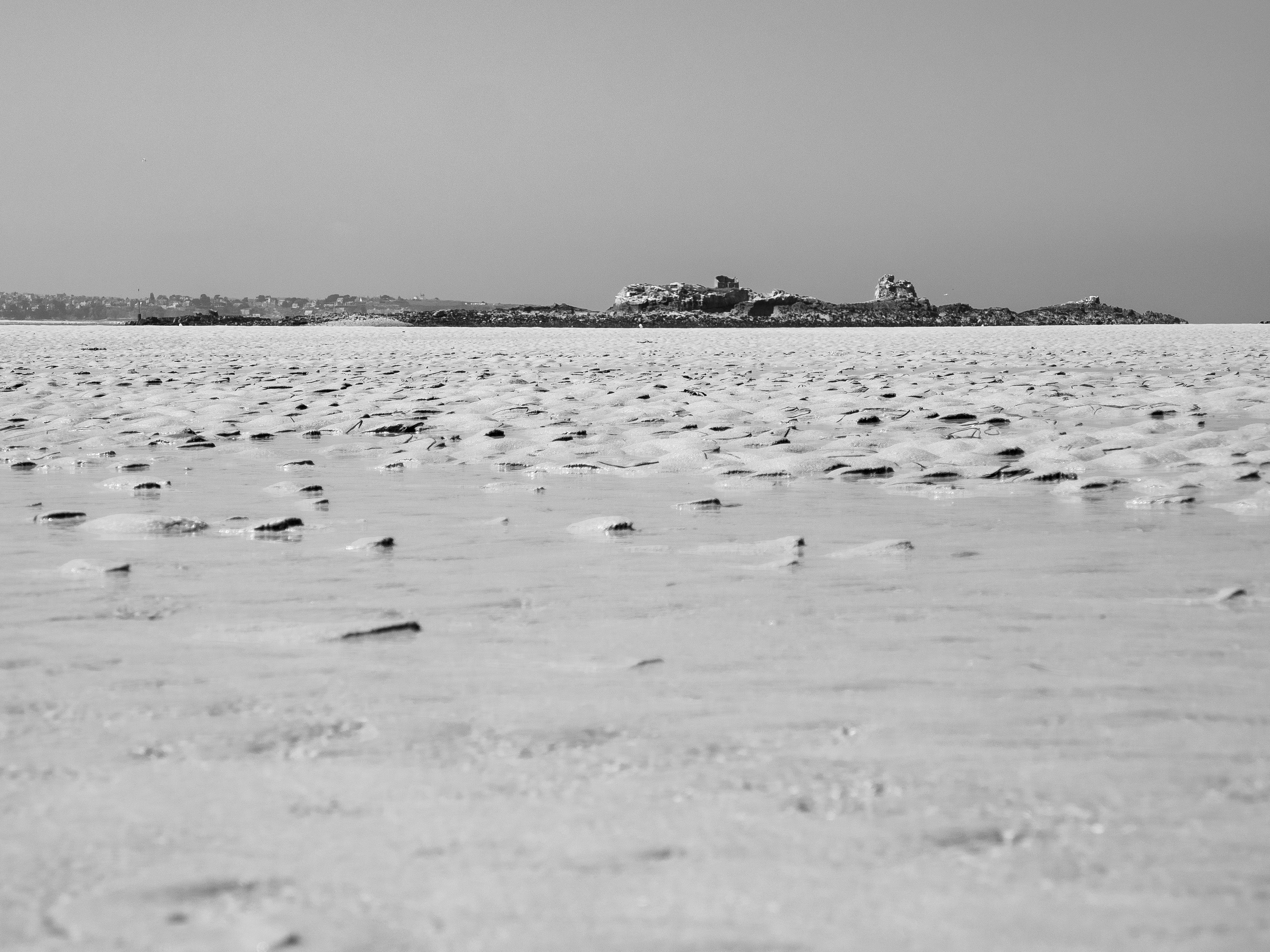 marée basse