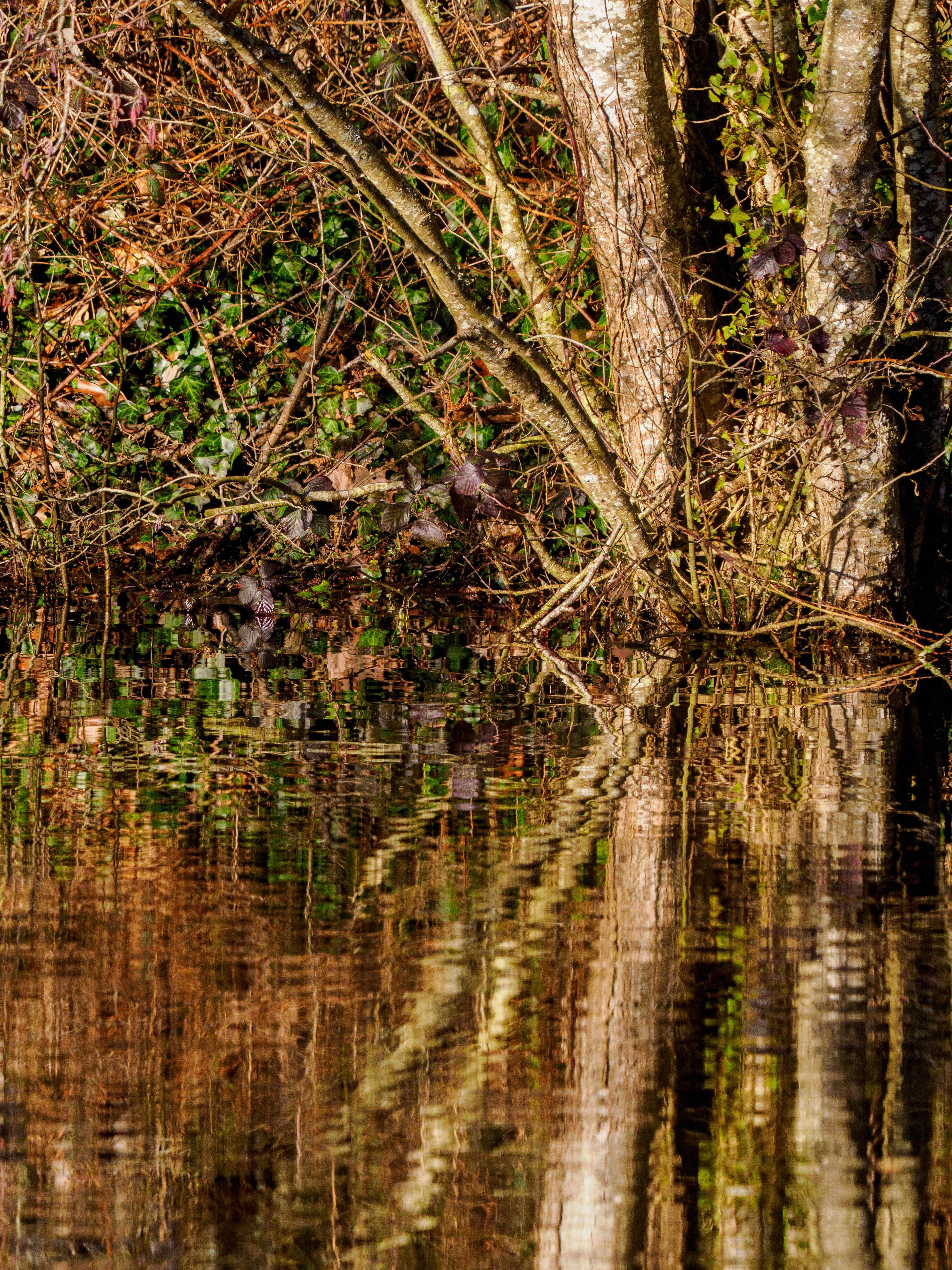 reflets