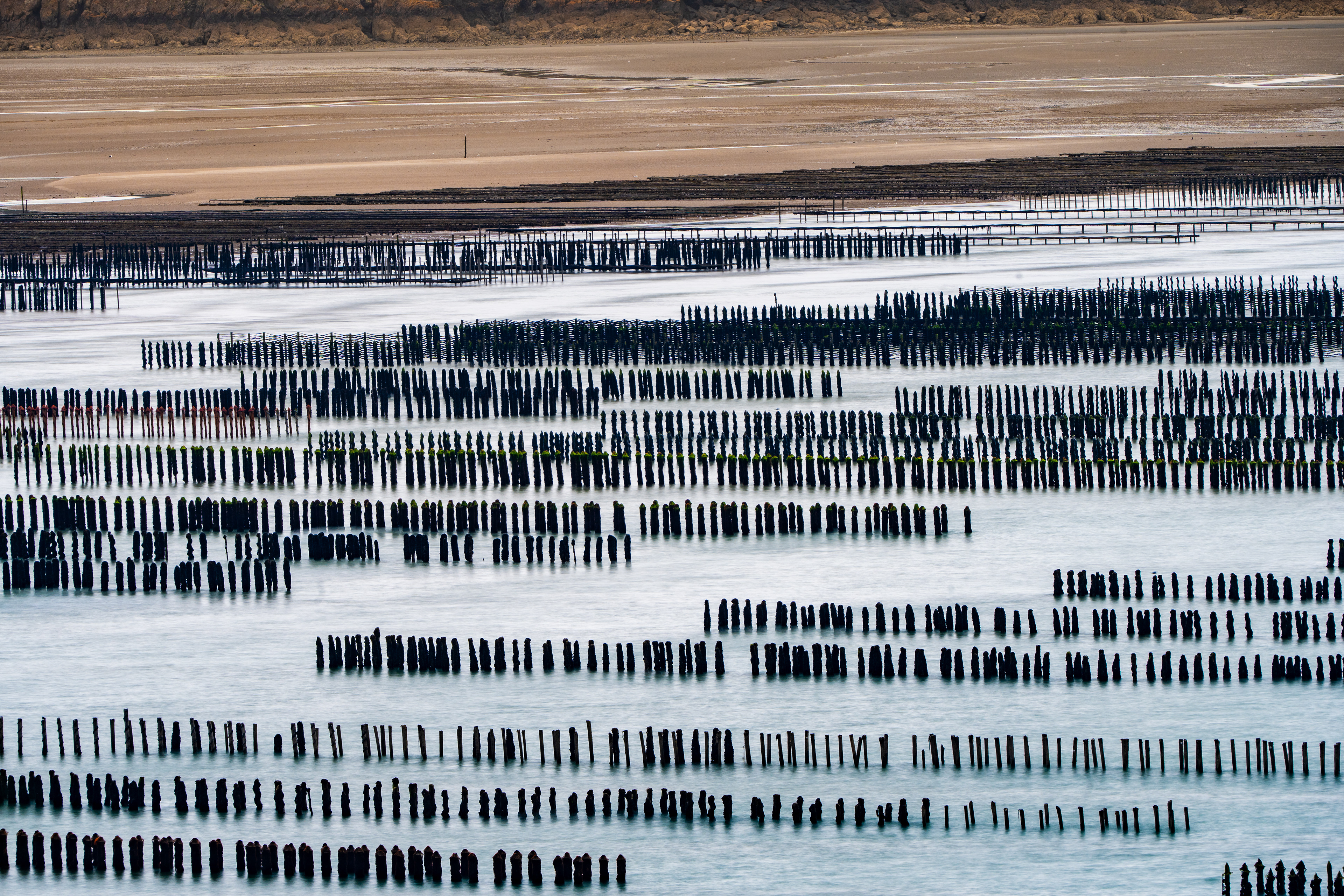 Elevages de moules