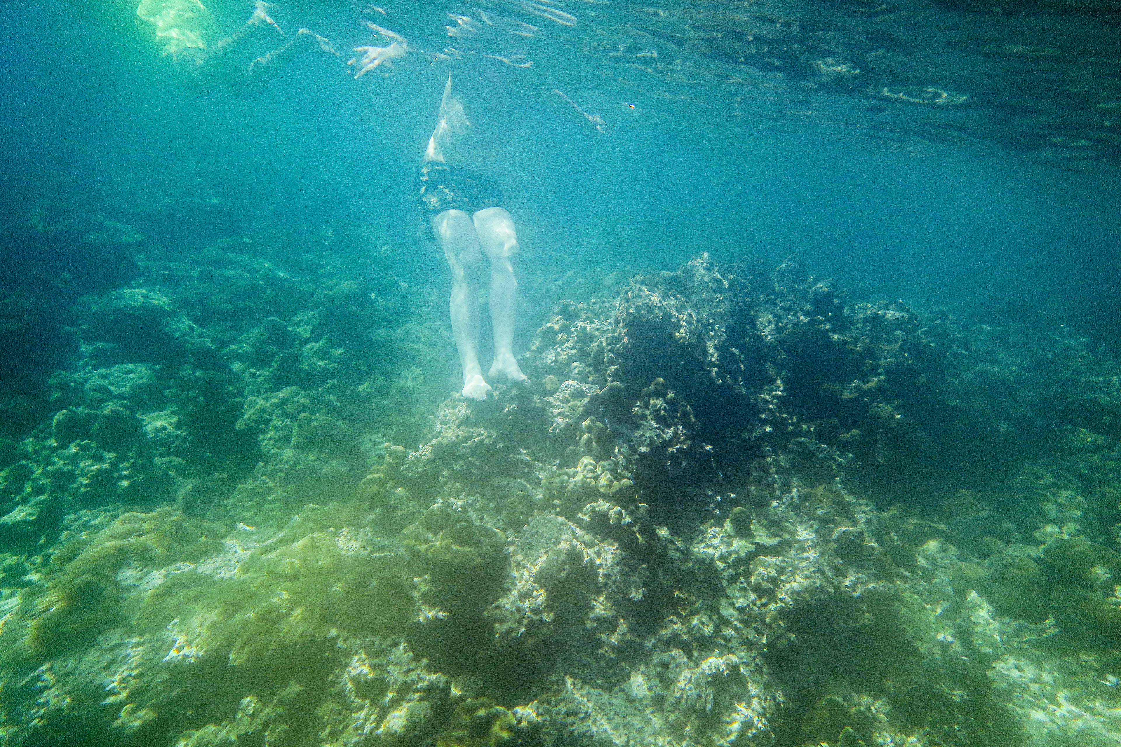snorkeling