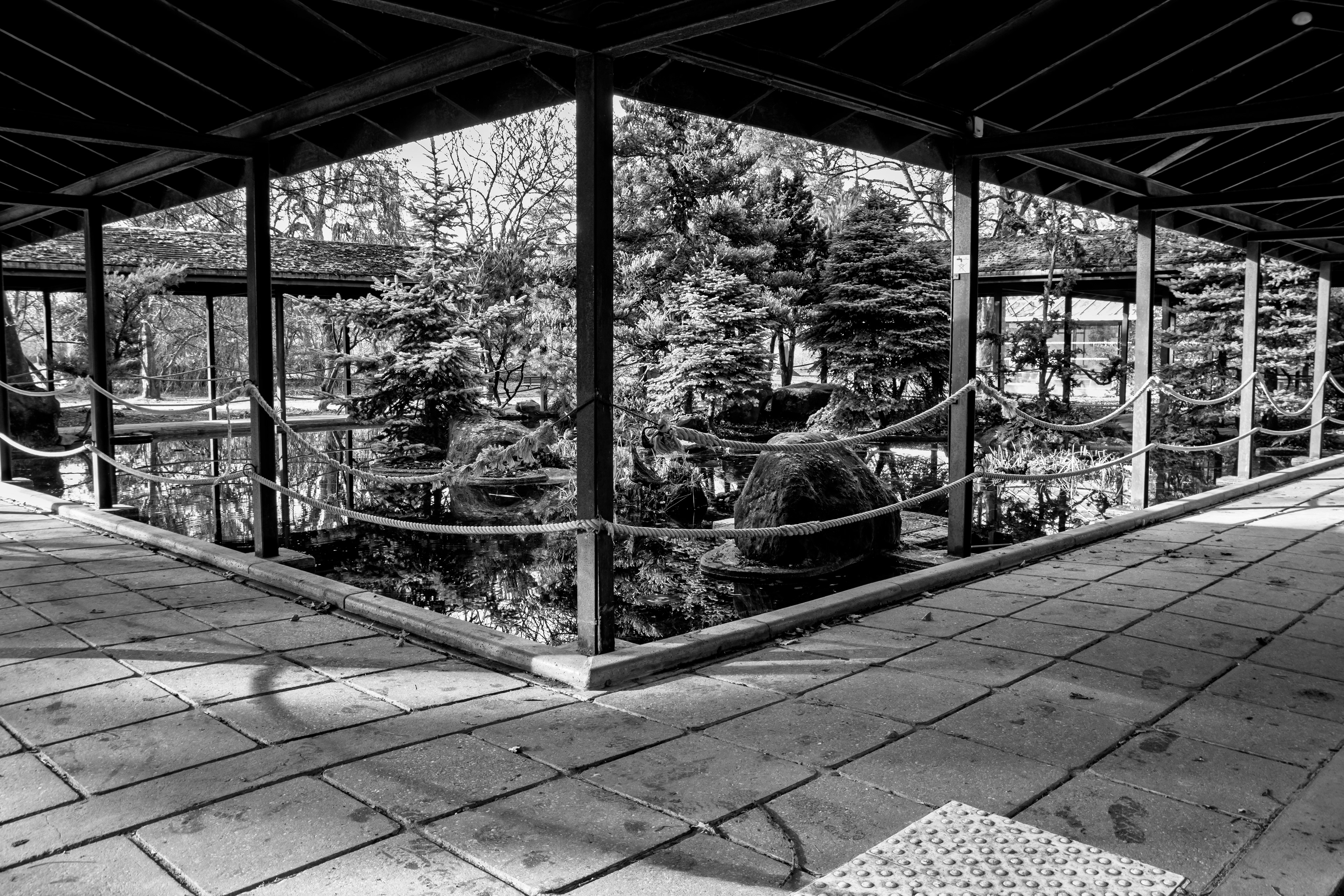 jardin japonais