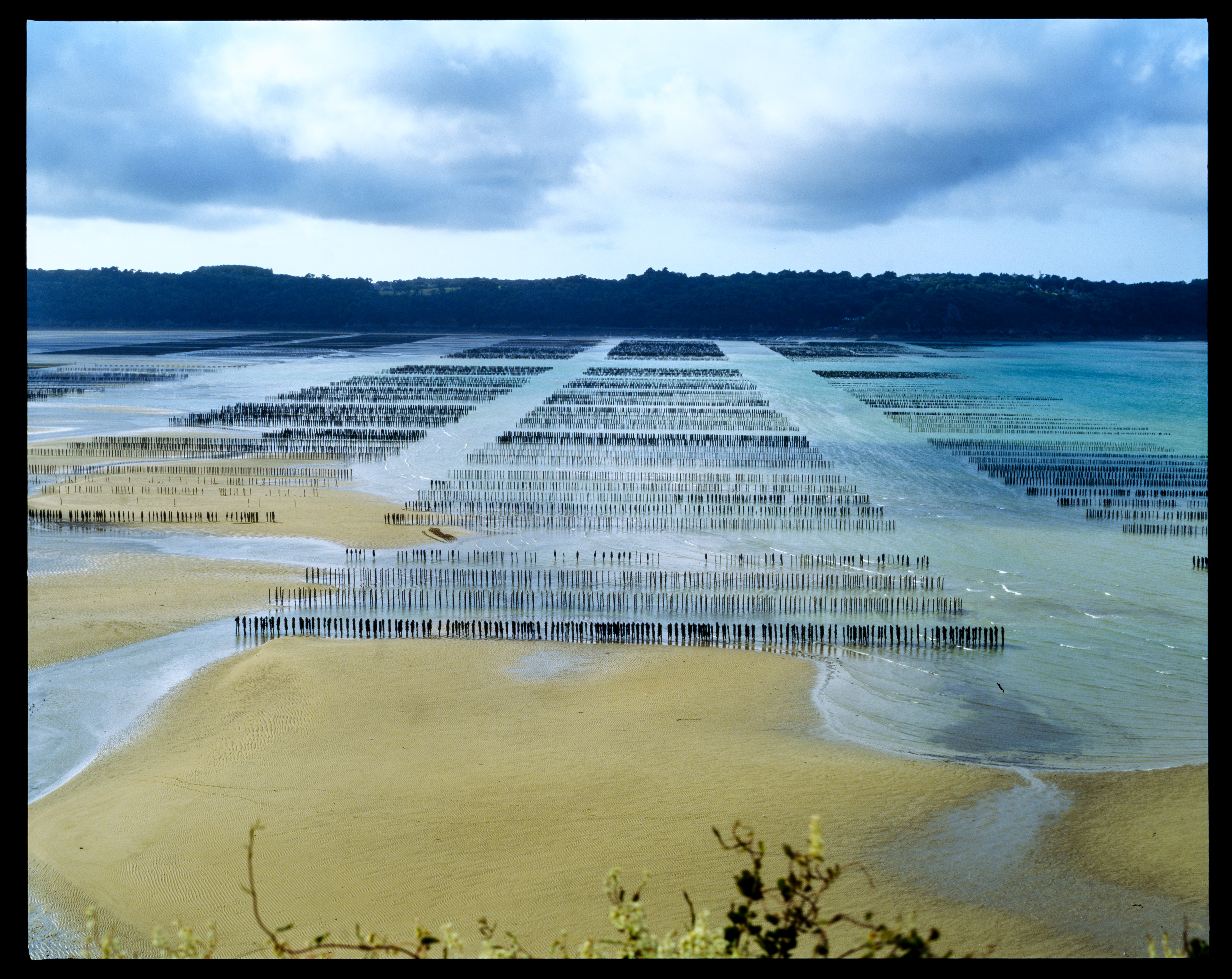 La baie en argentique 