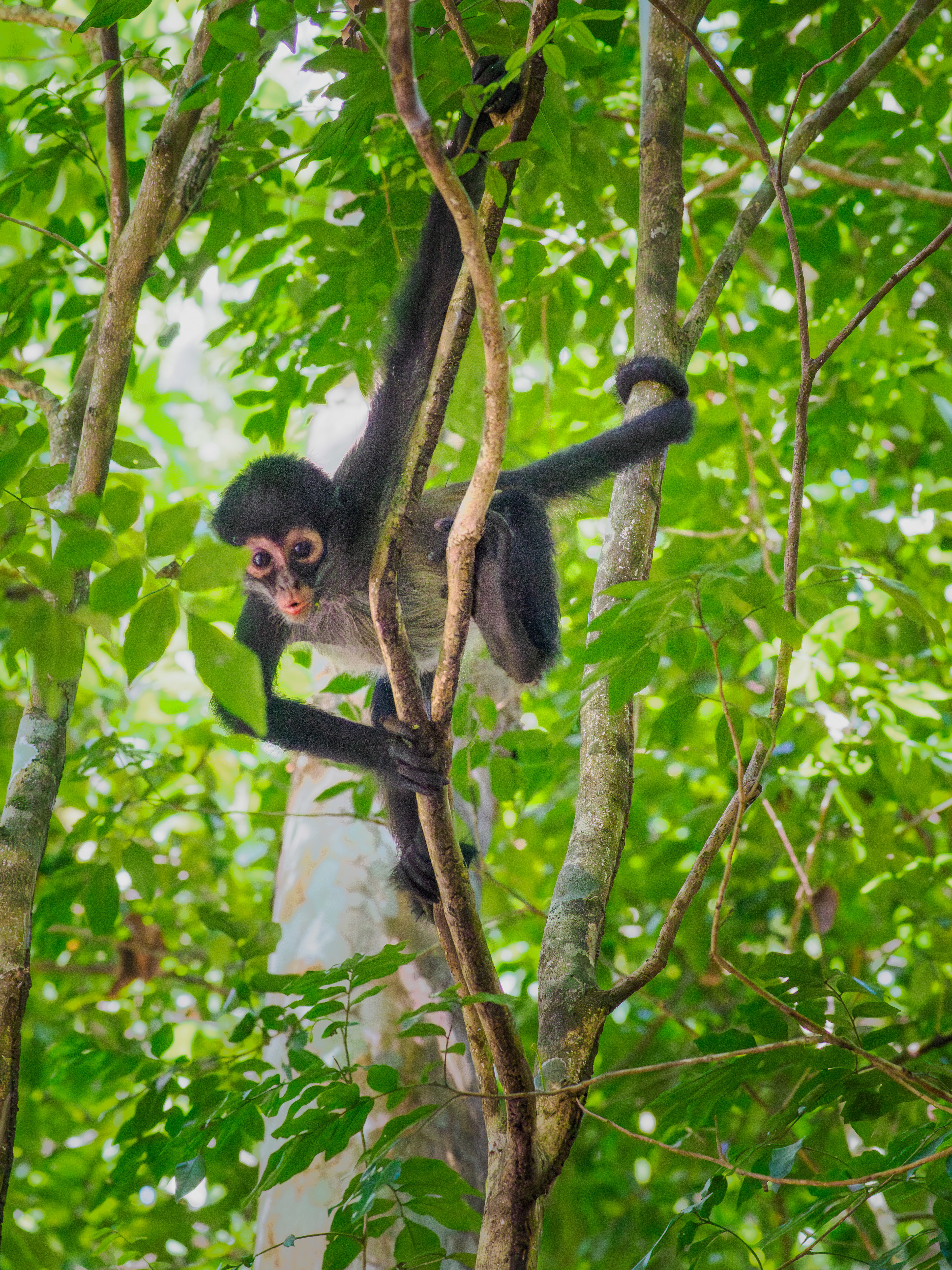 meilleure mise au point et nouvelle expression