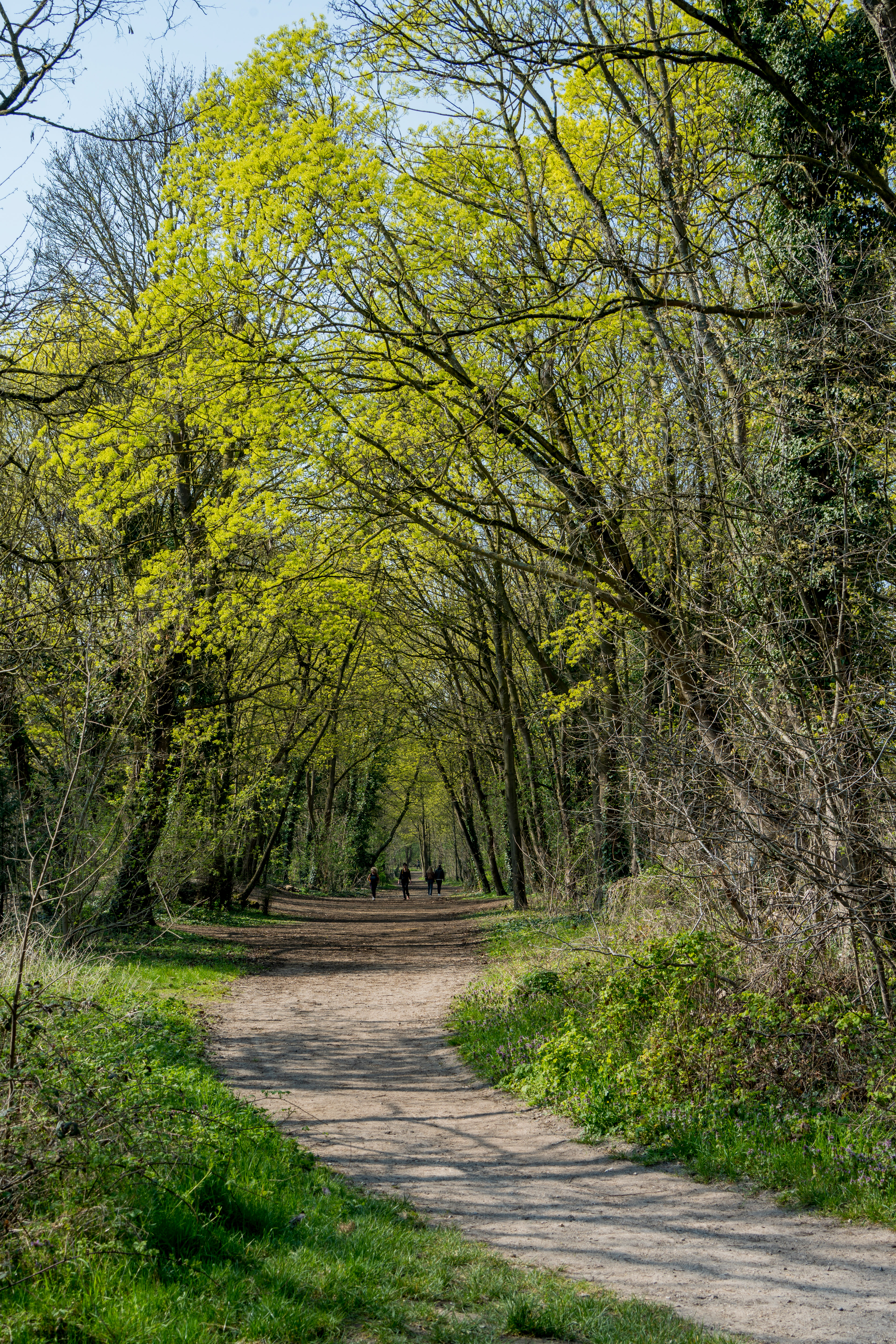 sentier